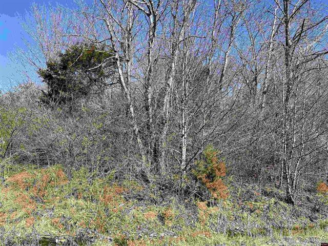 Nice level lot located in town. Close to shopping.