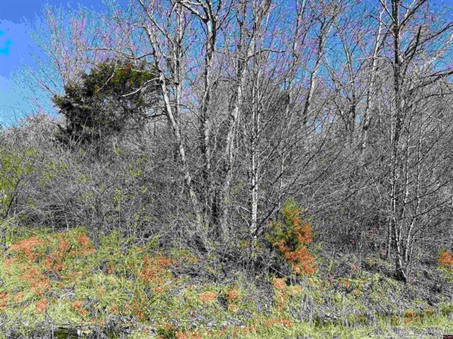 Nice level lot located in town. Close to shopping.