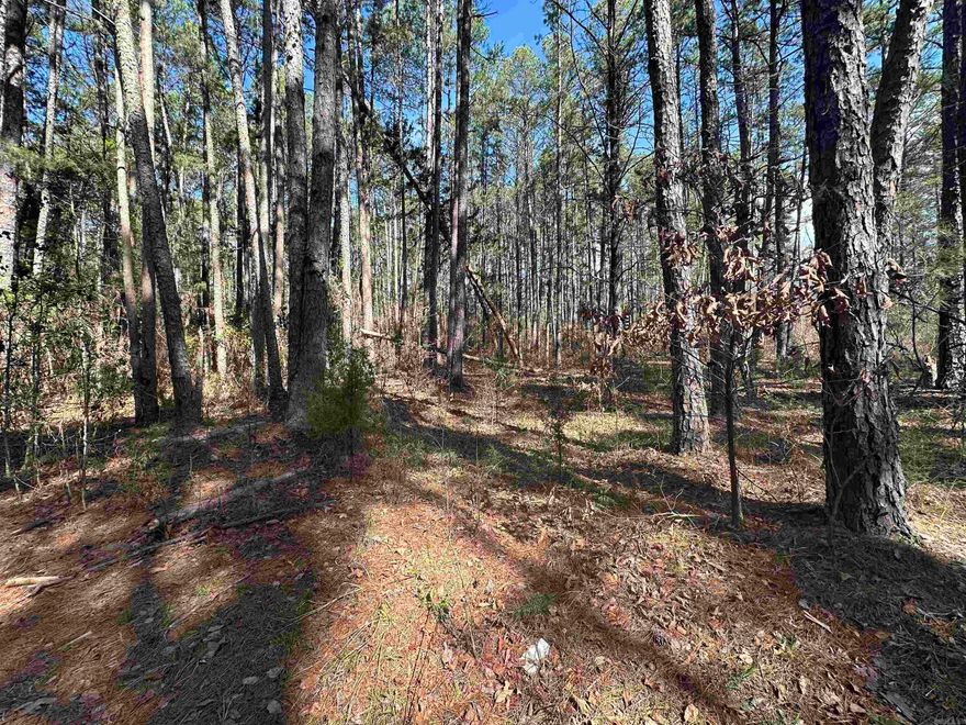 Great wooded lot just waiting on you to make it yours.
