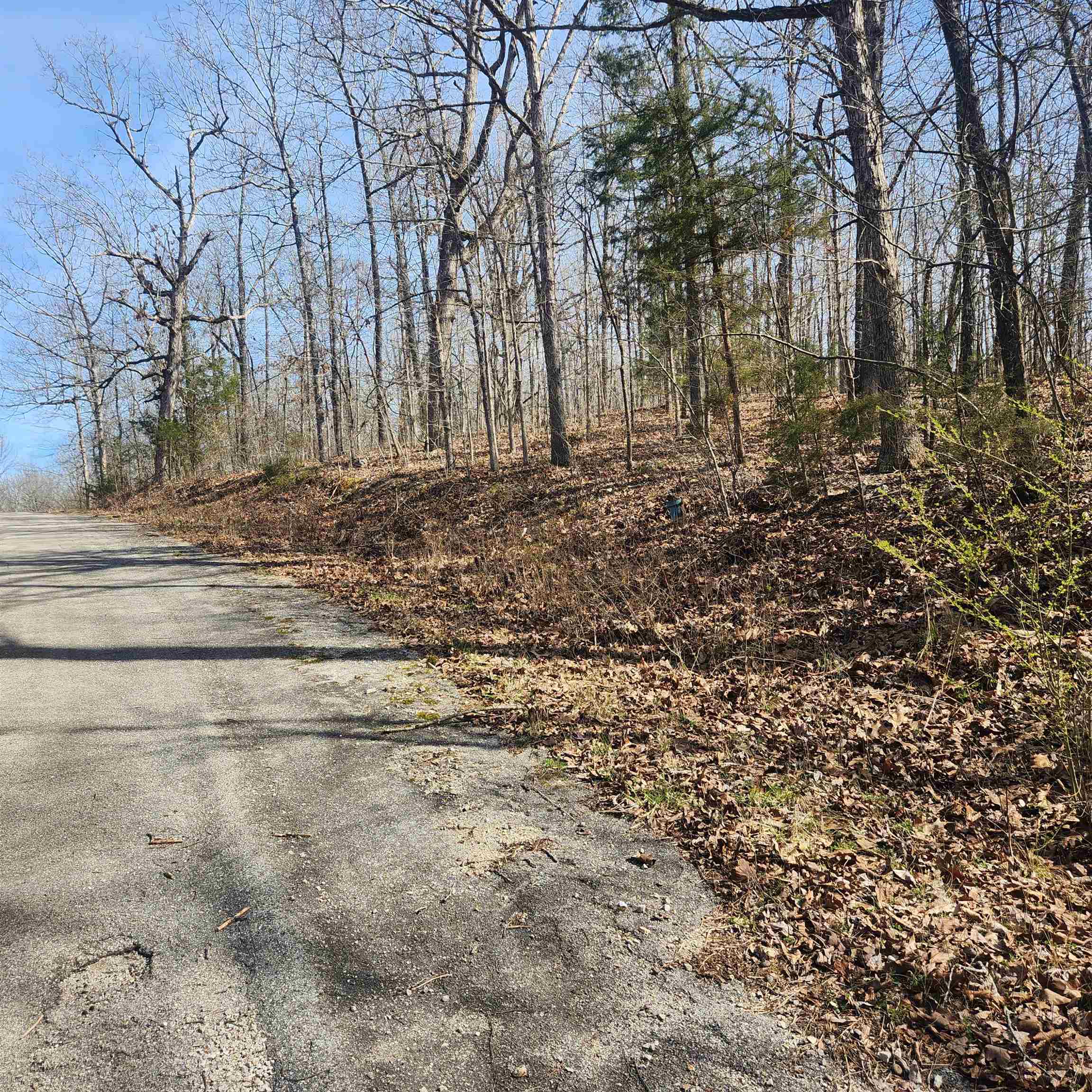 Chickasaw First - Land