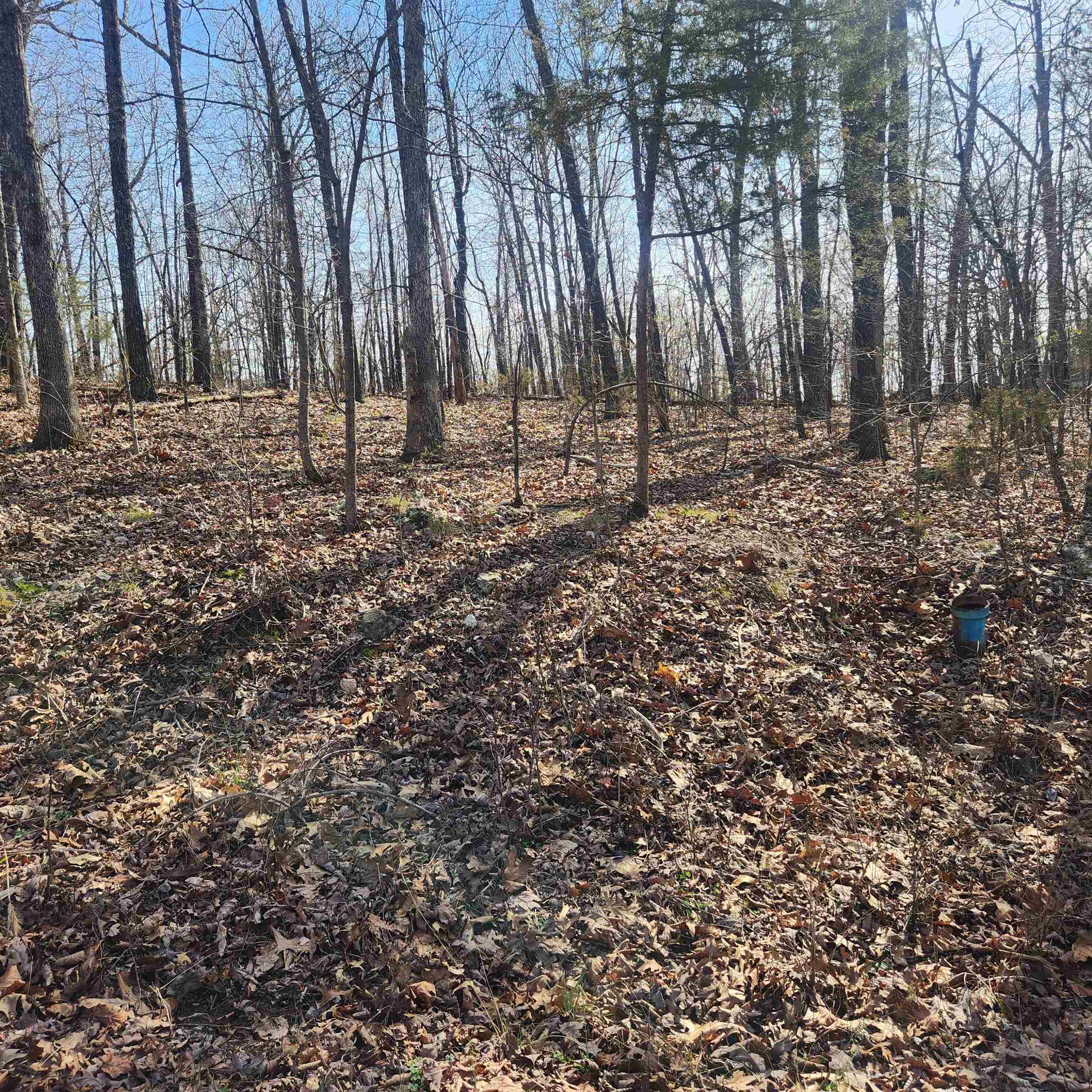 Chickasaw First - Land