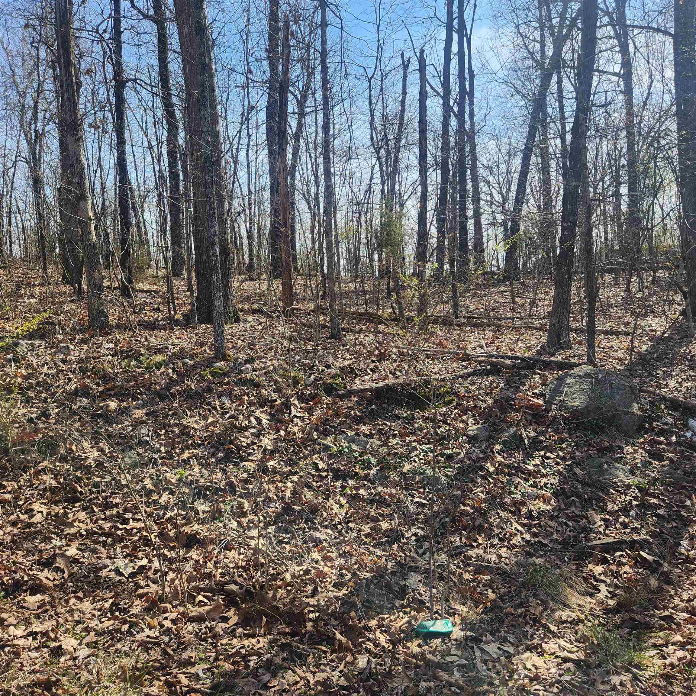 Chickasaw First - Land