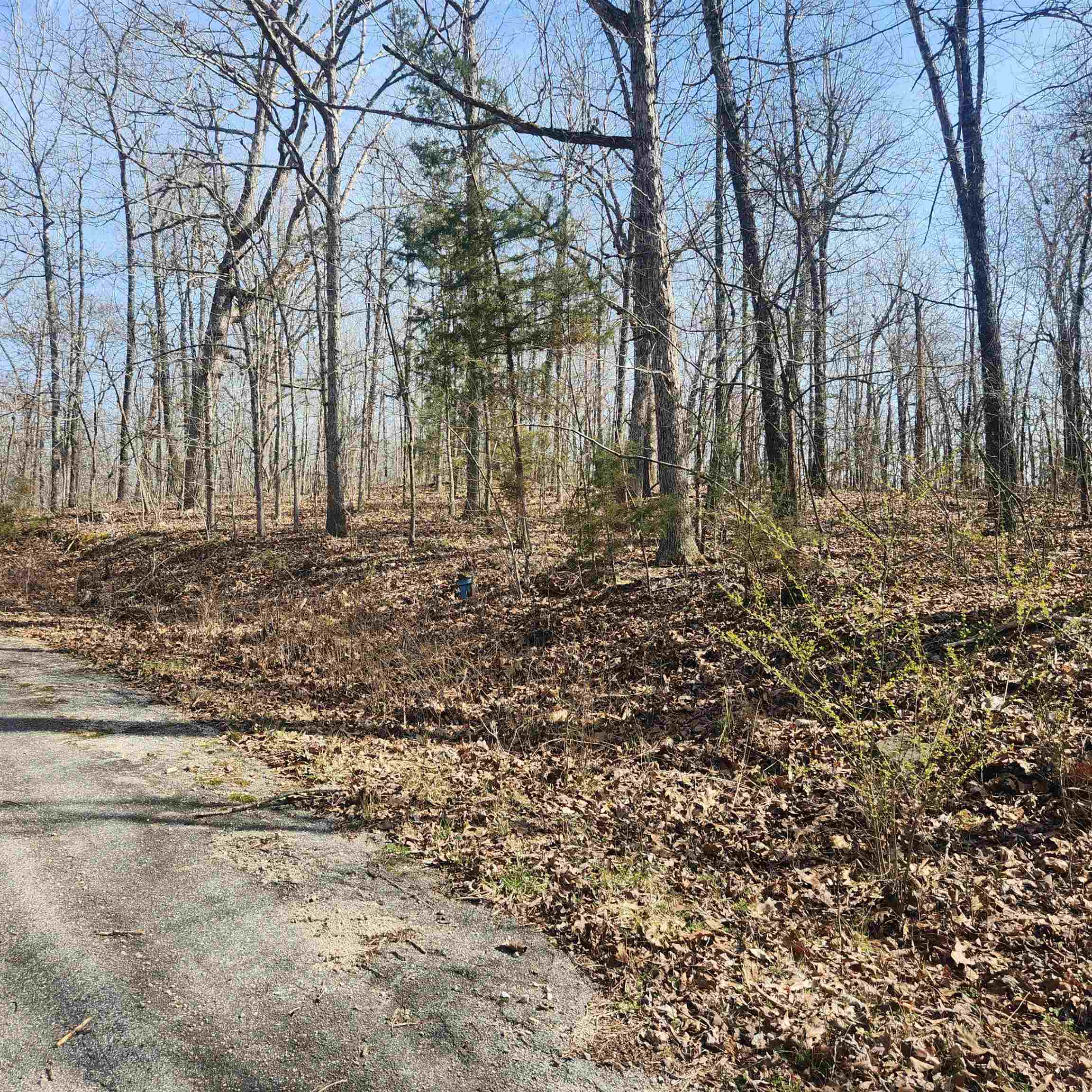 Chickasaw First - Land