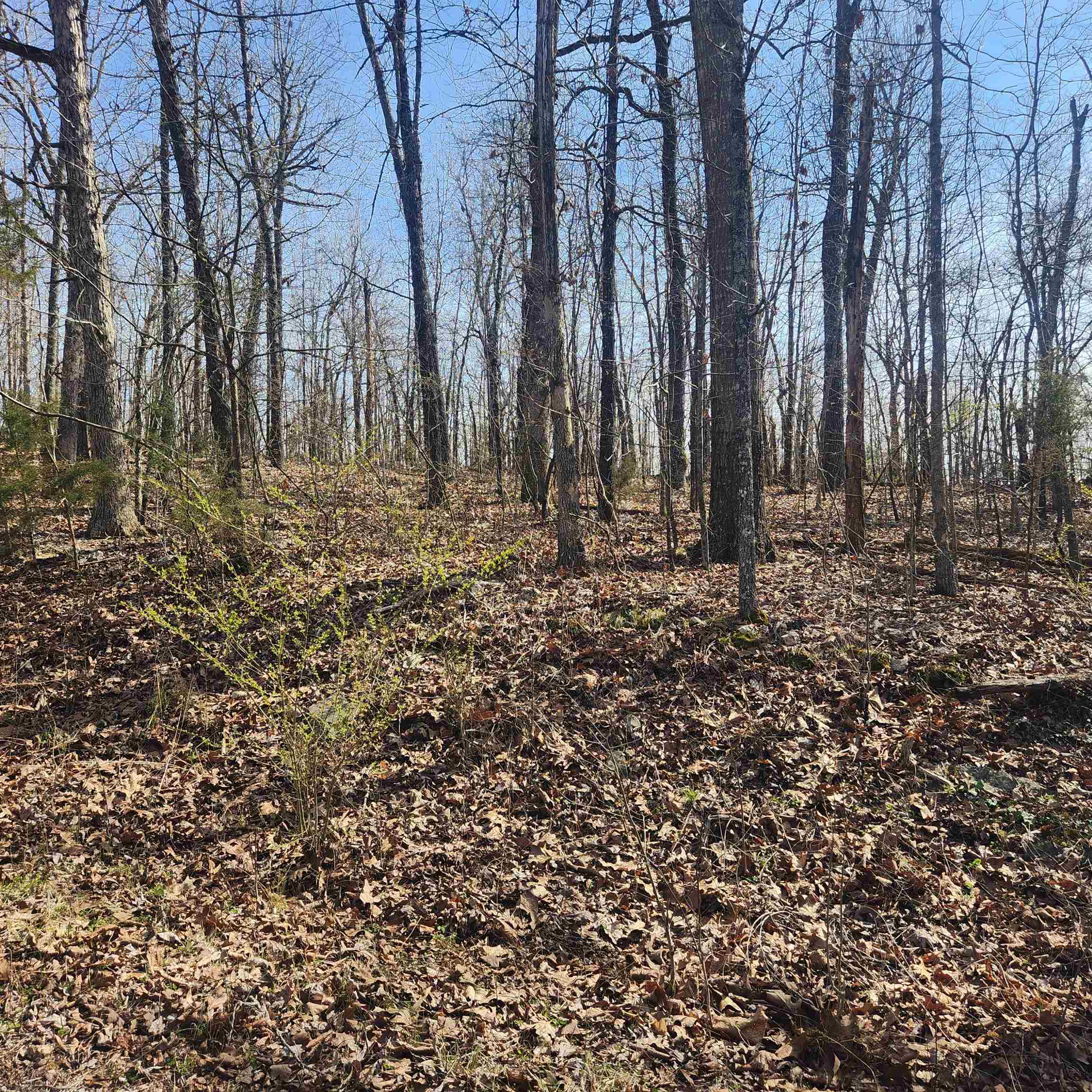 Chickasaw First - Land