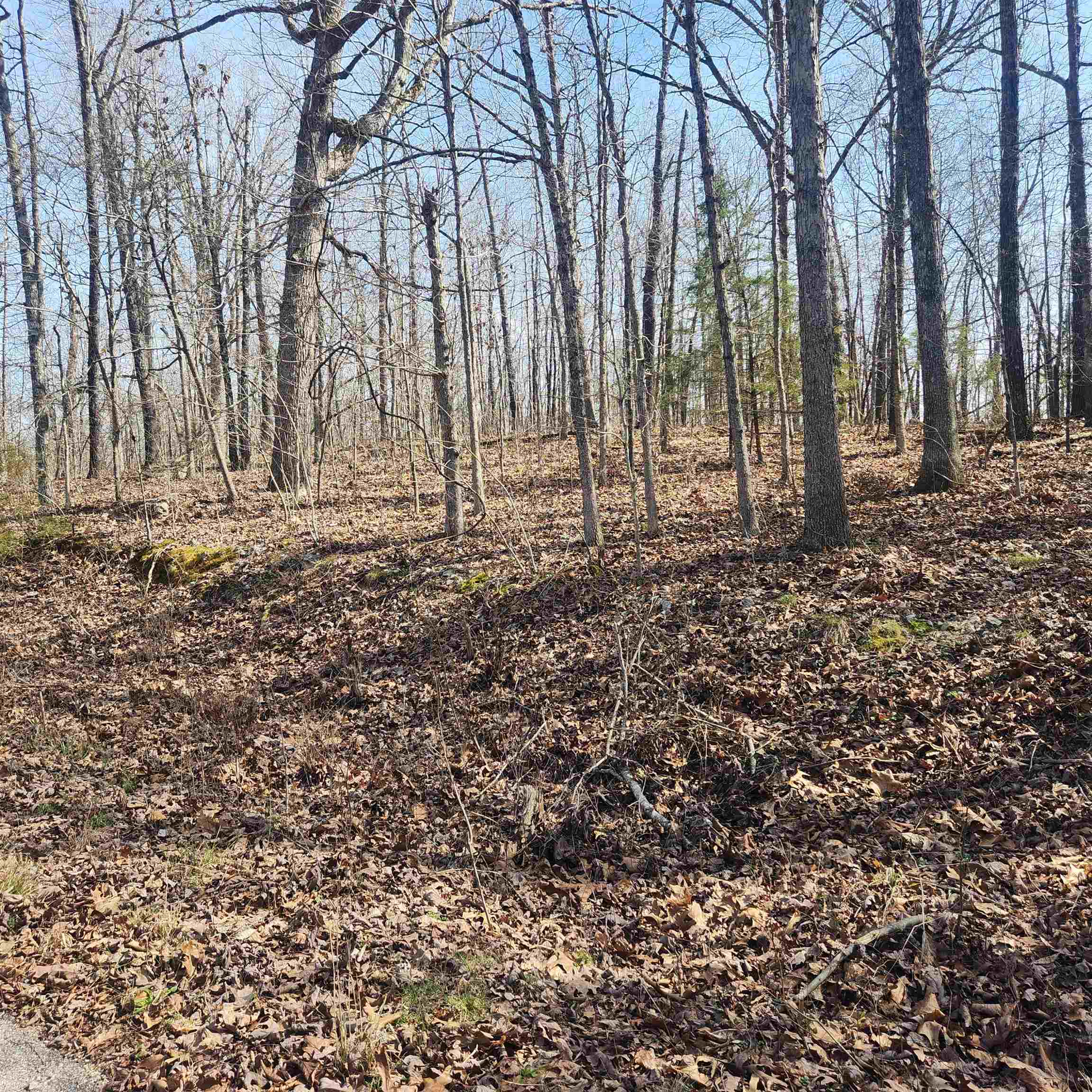 Chickasaw First - Land