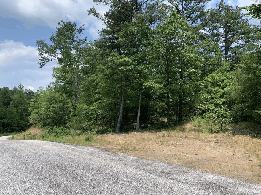 Build your new lake home here! Just 1 mile to the water. Lot #19 in Denby Cove, “Lake Ouachita’s Premiere Gated Community”, is comprised 3.47 wooded acres. Denby Cove offers paved roads, underground electric, city water, and a security gate. All available building lots in Denby Cove are a minimum of 3 acres. Some restrictions, including: 900 sq ft min building requirement. No Mobile/Manufactured Homes.