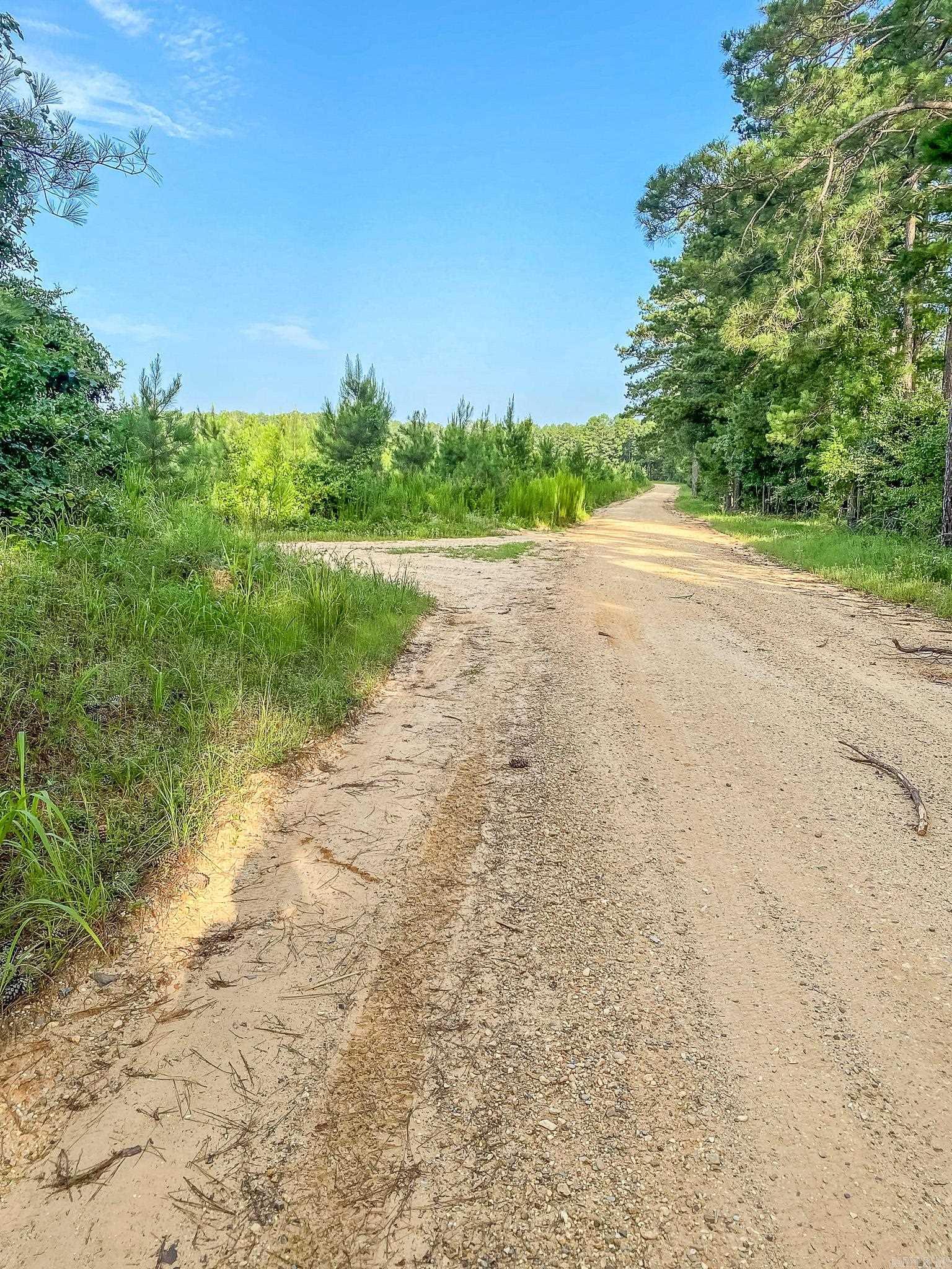 There is approximately $8400. timber value on this parcel.