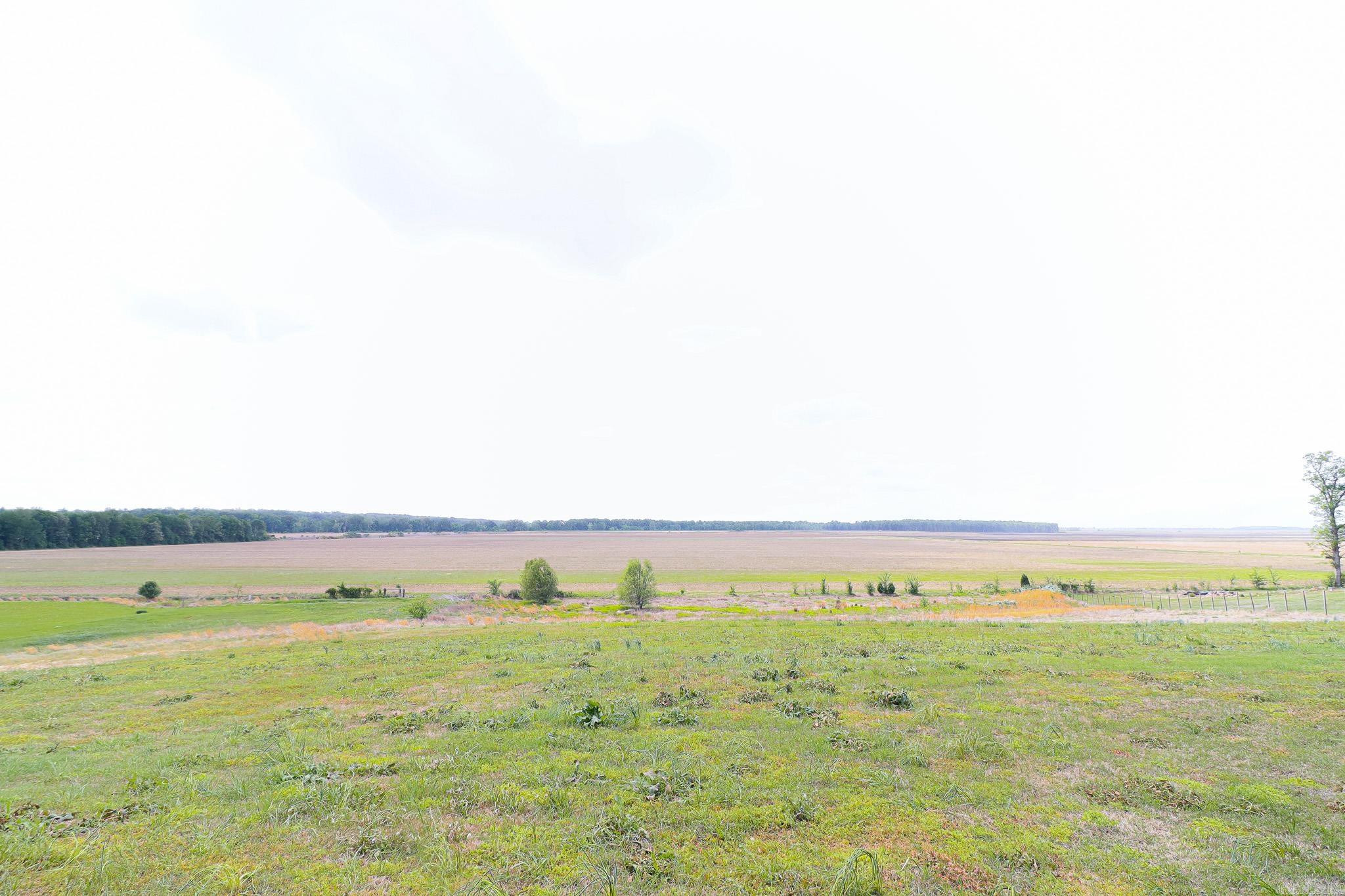 Foster - Residential