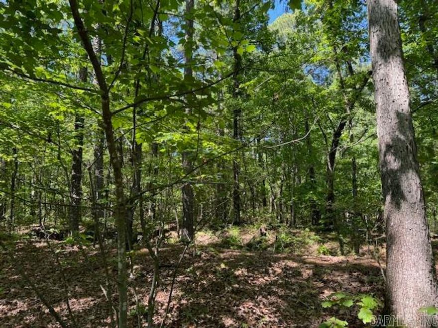 This nicely wooded mostly level lot is equally distanced to West Little Rock and Conway - convenient to both cities!  There was previously a home on this lot  and the Foundation, some utilities and septic tank remain.  City water is at the road.  Metal Shop will convey.