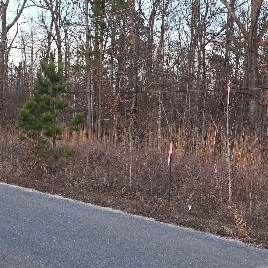 See Survey. Utilities available at or near site.