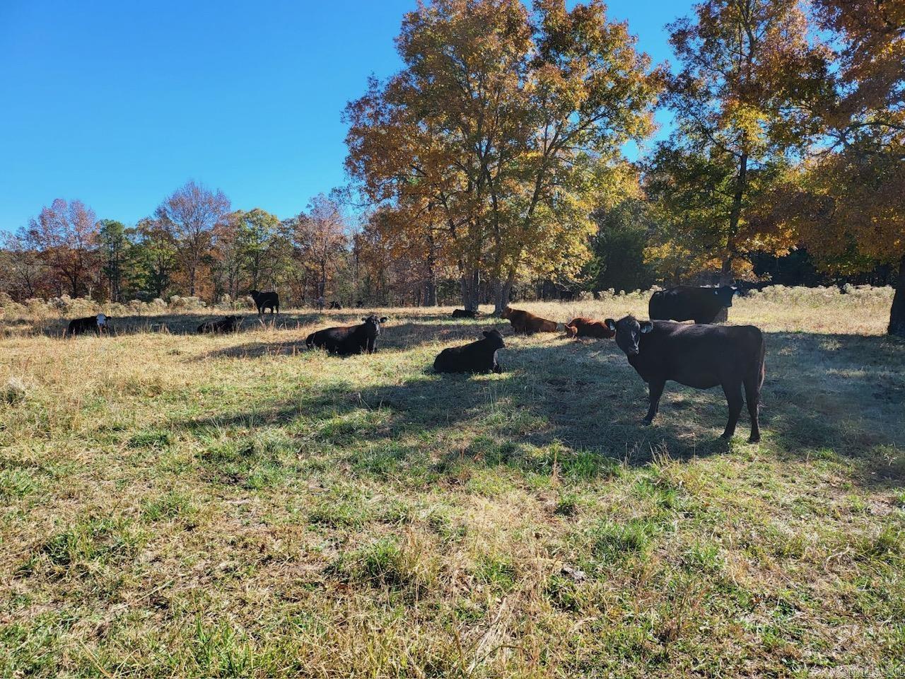 Metes & Bounds - Land