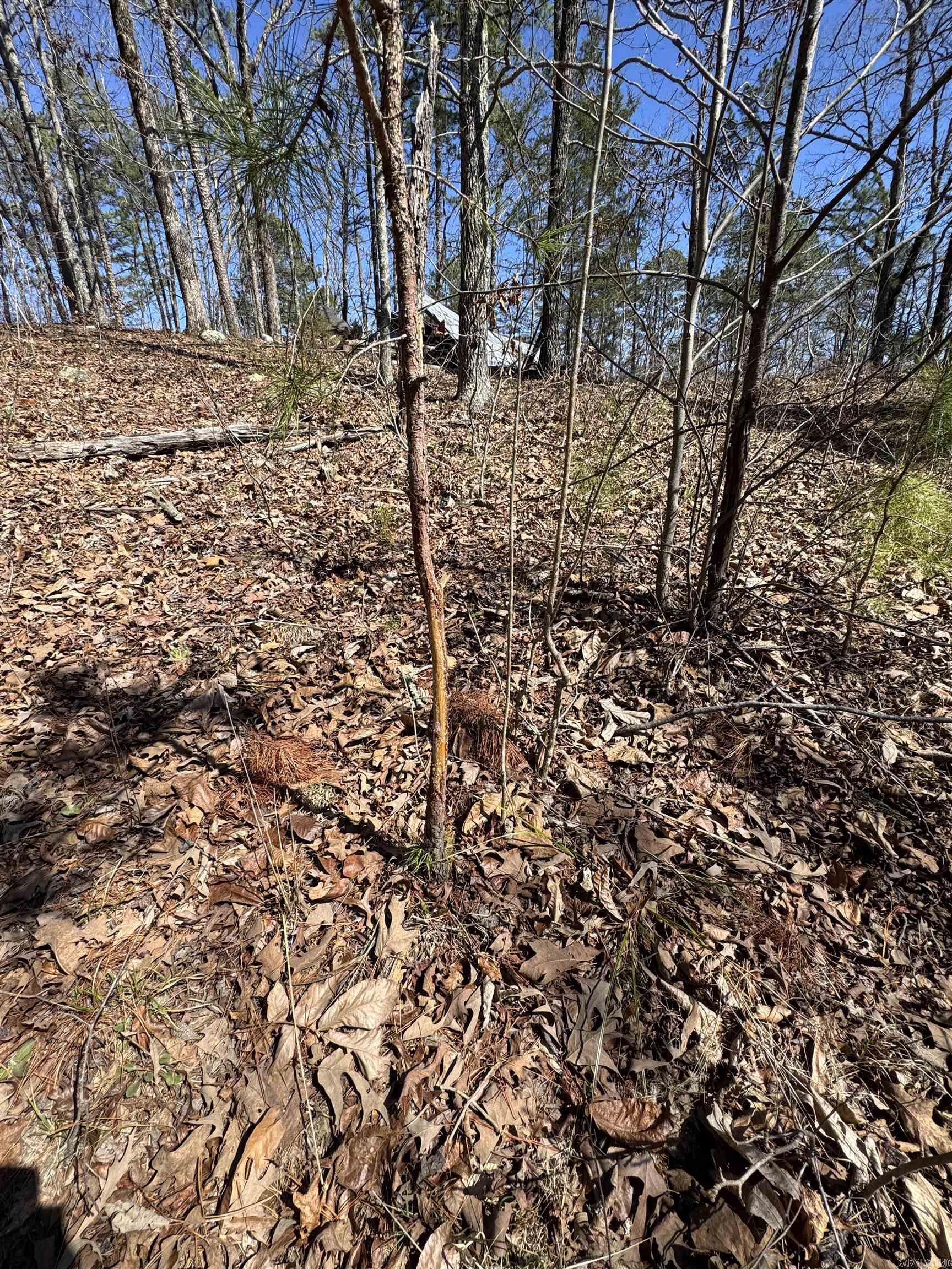 Metes & Bounds - Land