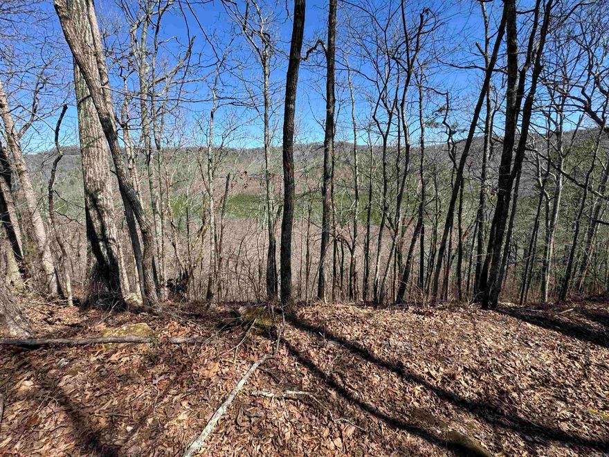Own an outdoorsman's paradise. This 10 acres is secluded, with beautiful mountain views and is abounding in deer, turkey, bear, and small game. Completely wooded with mature white oaks, red oaks, and hickory. Oyler Road is one of the best maintained gravel roads around. The view from the top is amazing. Come see it today.