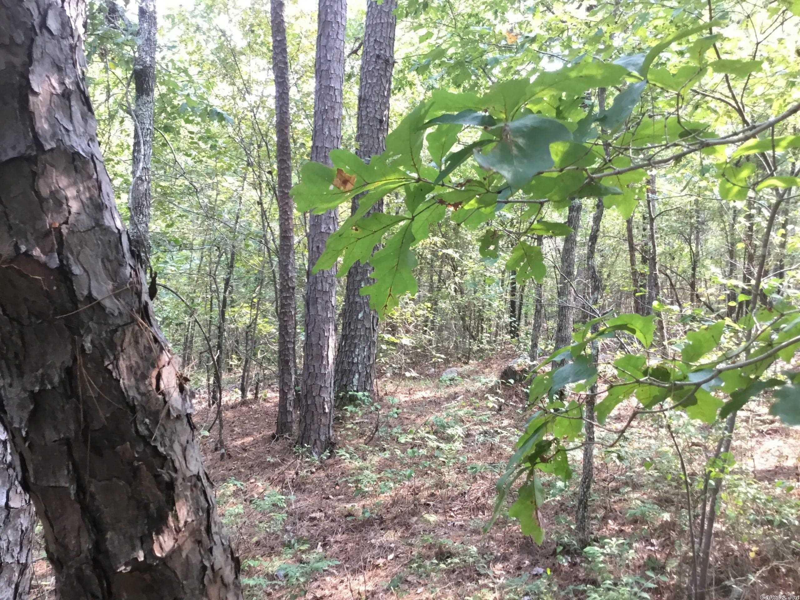 West Little Rock - Land