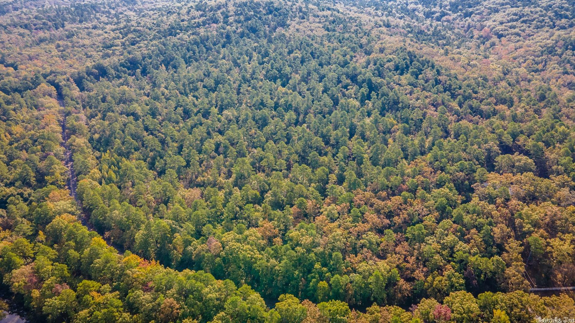 Just West of Little Rock, these Garrison Road properties can be developed or provide the perfect spot outside of town for you to build your dream home! The property is wooded with pines and natural hardwoods allowing for privacy while being just a few miles from town. If you combine both the Garrison East and Garrison West properties, there is over 1/4 mile of paved road frontage.