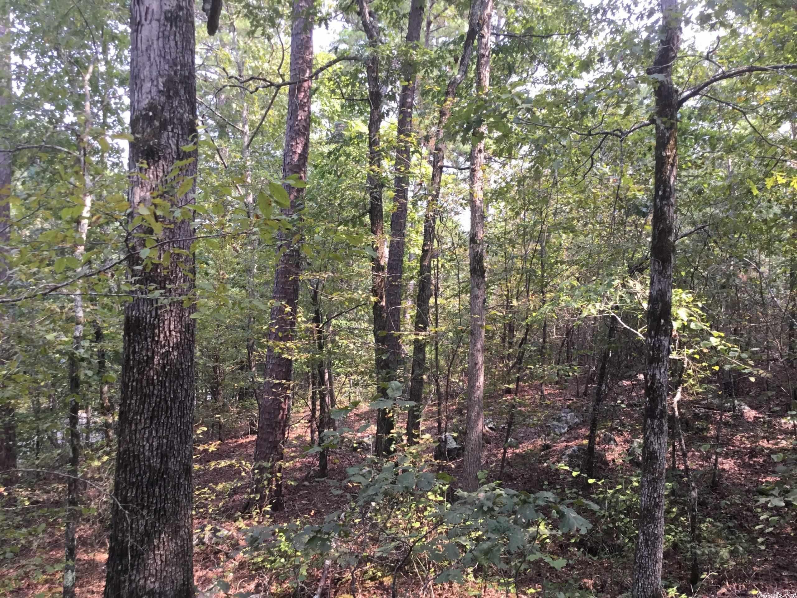 West Little Rock - Land