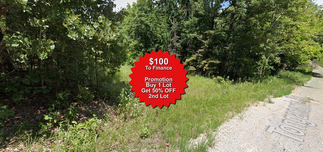 Buy one lot and get 50% off an additional lot! Owner-finance for easy terms. Cash buyers can pay by debit or credit card as well. Nice lot to develop or hold for future value. Public water and electric are available to run to property and will need septic. Owner/agent. No mobiles allowed. 600-2500 minimum build size on any other type of home, depending on subdivision. Finance is $100 down and 10 months at $99 and closing costs are included. Lots marked with red banner are part of promotion. No limit on lots. Buyer responsible for any/all taxes and lots sold "as-is". Quit claim deed conveys. Parcel ID# 210-14053-000