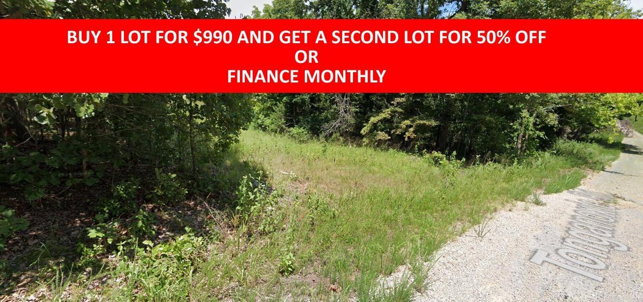 Buy one lot and get 50% off an additional lot! Owner-finance for easy terms. Cash buyers can pay by debit or credit card as well. Nice lot to develop or hold for future value. Public water and electric are available to run to property and will need septic. Owner/agent. No mobiles allowed. 600-2500 minimum build size on any other type of home, depending on subdivision. Finance is $100 down and 10 months at $99 and closing costs are included. Lots marked with red banner are part of promotion. No limit on lots. Buyer responsible for any/all taxes and lots sold "as-is". Quit claim deed conveys. Parcel ID# 210-14053-000