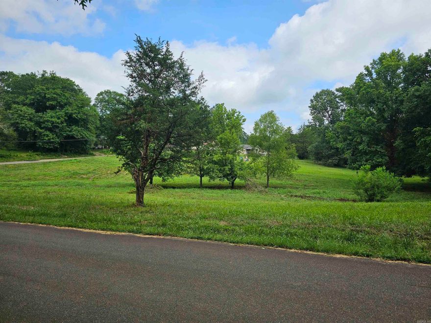 This property is large enough for 2 homes! Or you can build your dream home and have plenty of yard! Plus there are lots of landscaping possibilities.  Utilities are available! There is even a fire hydrant on the property!! Check it out before it is gone!