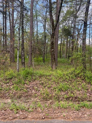 KIP LN, CLINTON, AR 72031 - Image 8a5456983fa3258c35702a788b96d2d6/2833584178