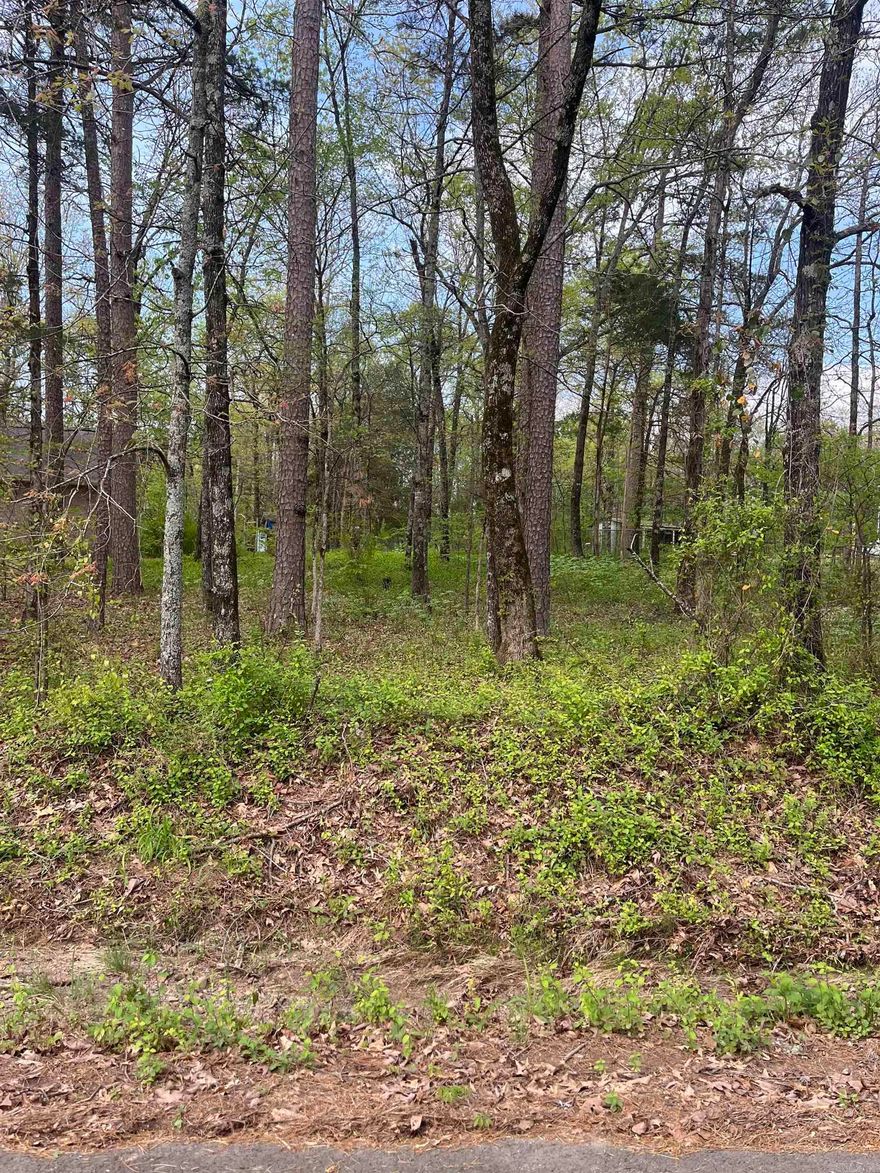This property is ready for your dream home wonderful location. Charming, quite residential neighborhood. Close to beautiful Greers Ferry Lake. All minerals do convey.