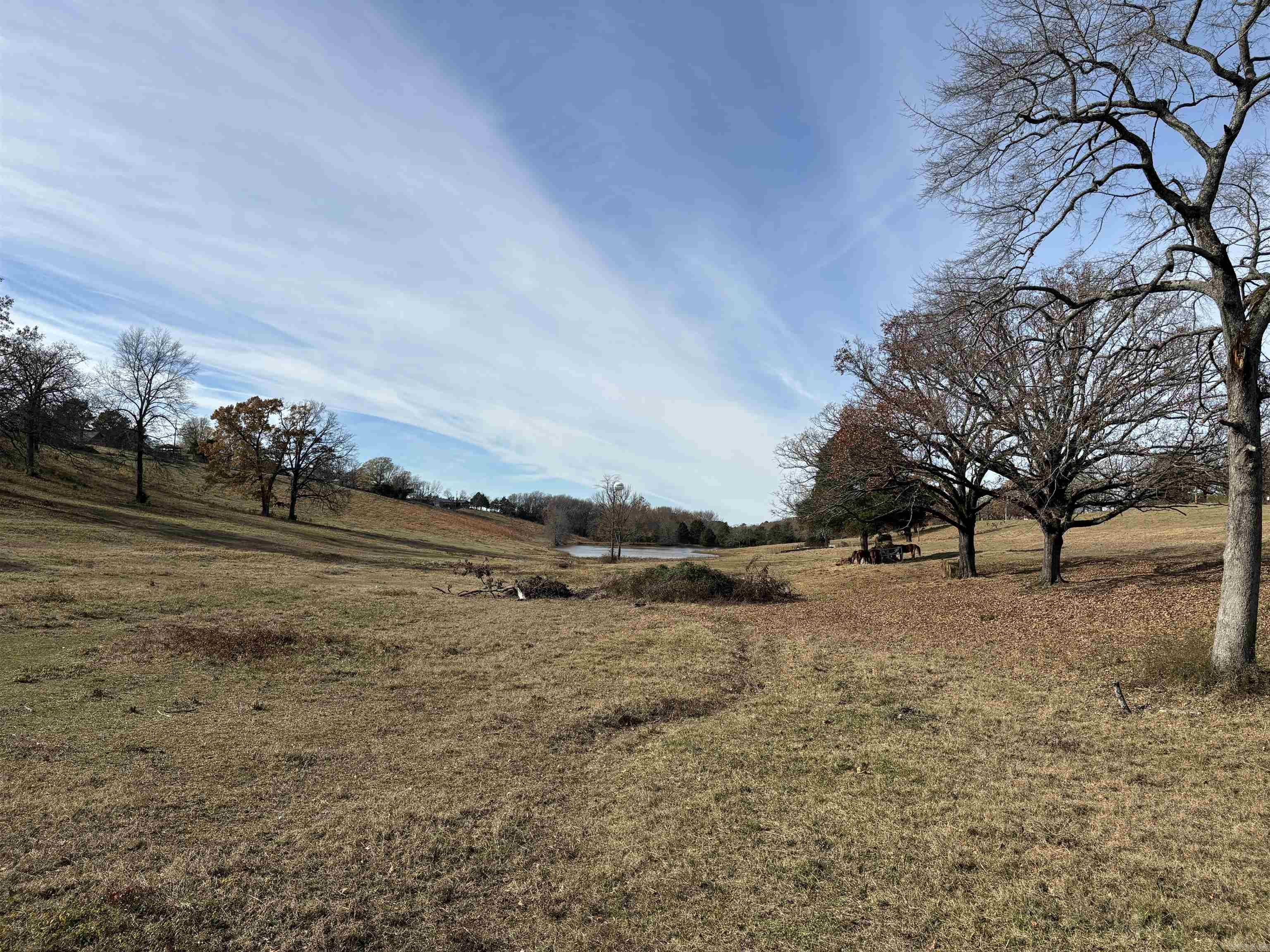 Not in Subdivision - Land