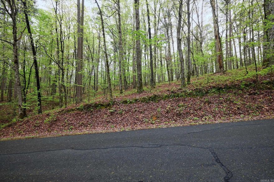 Lovely lot in gated community! A great location to build your dream home! Enjoy all that Hot Springs Village has to offer; 11 recreational lakes, 9 golf courses, biking and hiking trails, churches, shopping and all surrounded by the natural beauty of the Ouachita Mountains!