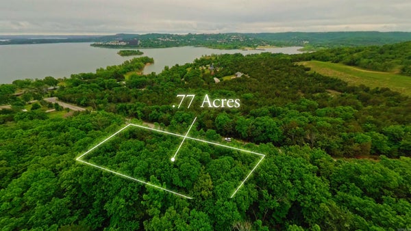 ADDRESS PRIVATE, RIDGEDALE, MO 65739 - Image 8a767d57d1cd75e25f72c24eba10b6ee/4250252560
