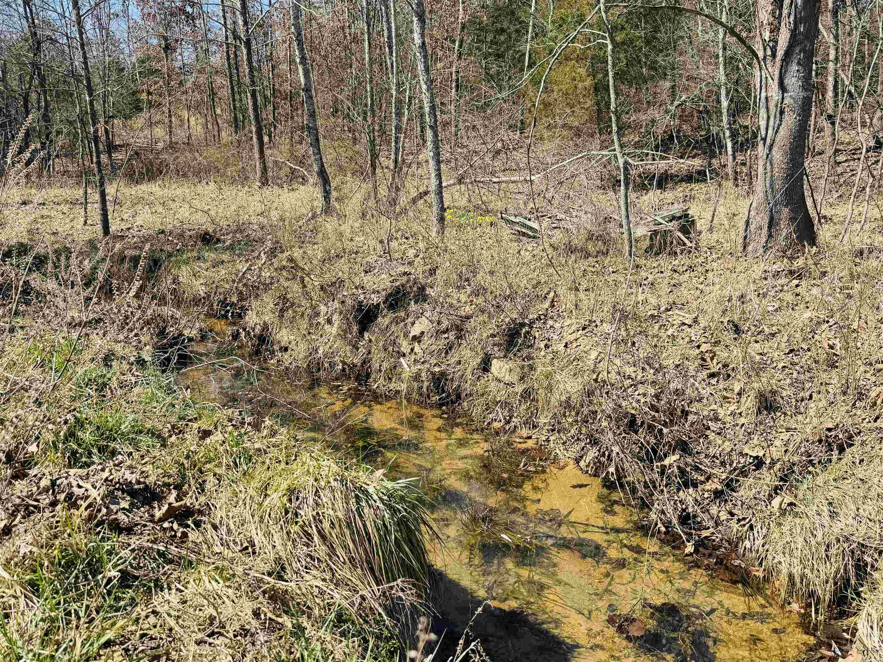 Metes & Bounds - Land