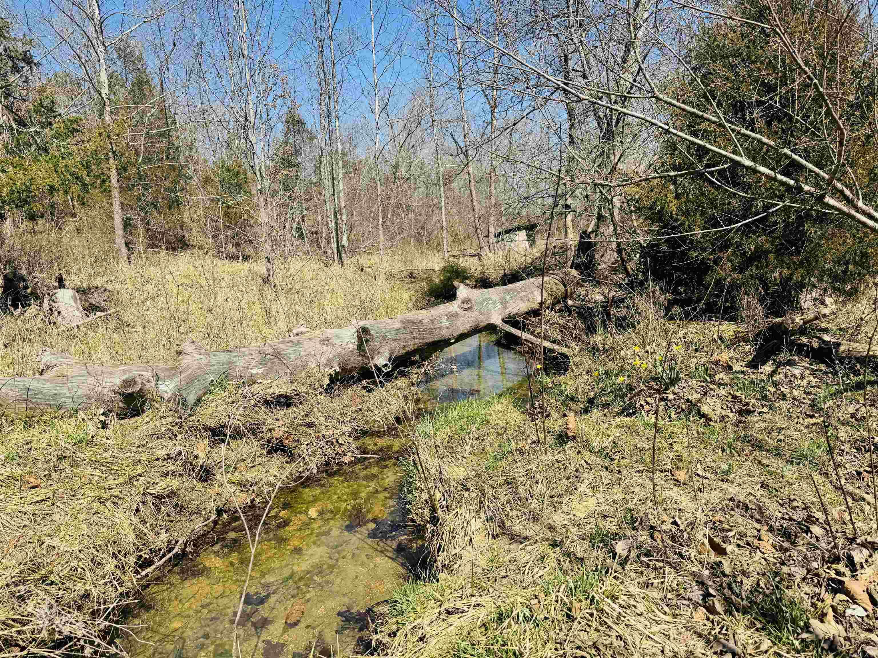 Metes & Bounds - Land