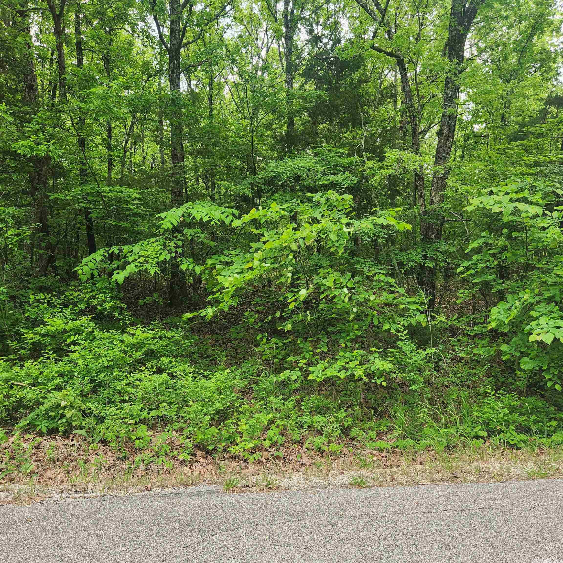 Choctaw Second - Land