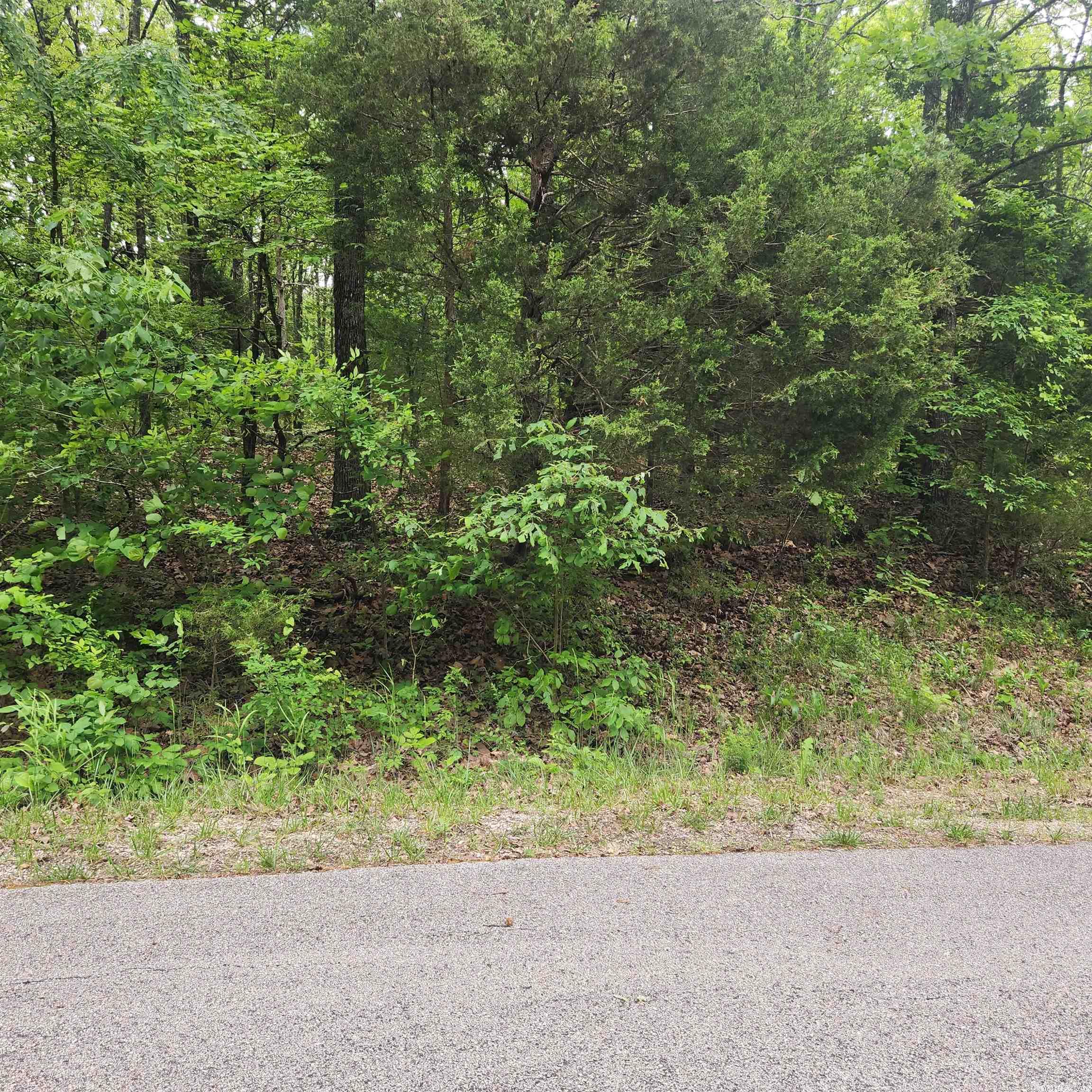 Choctaw Second - Land