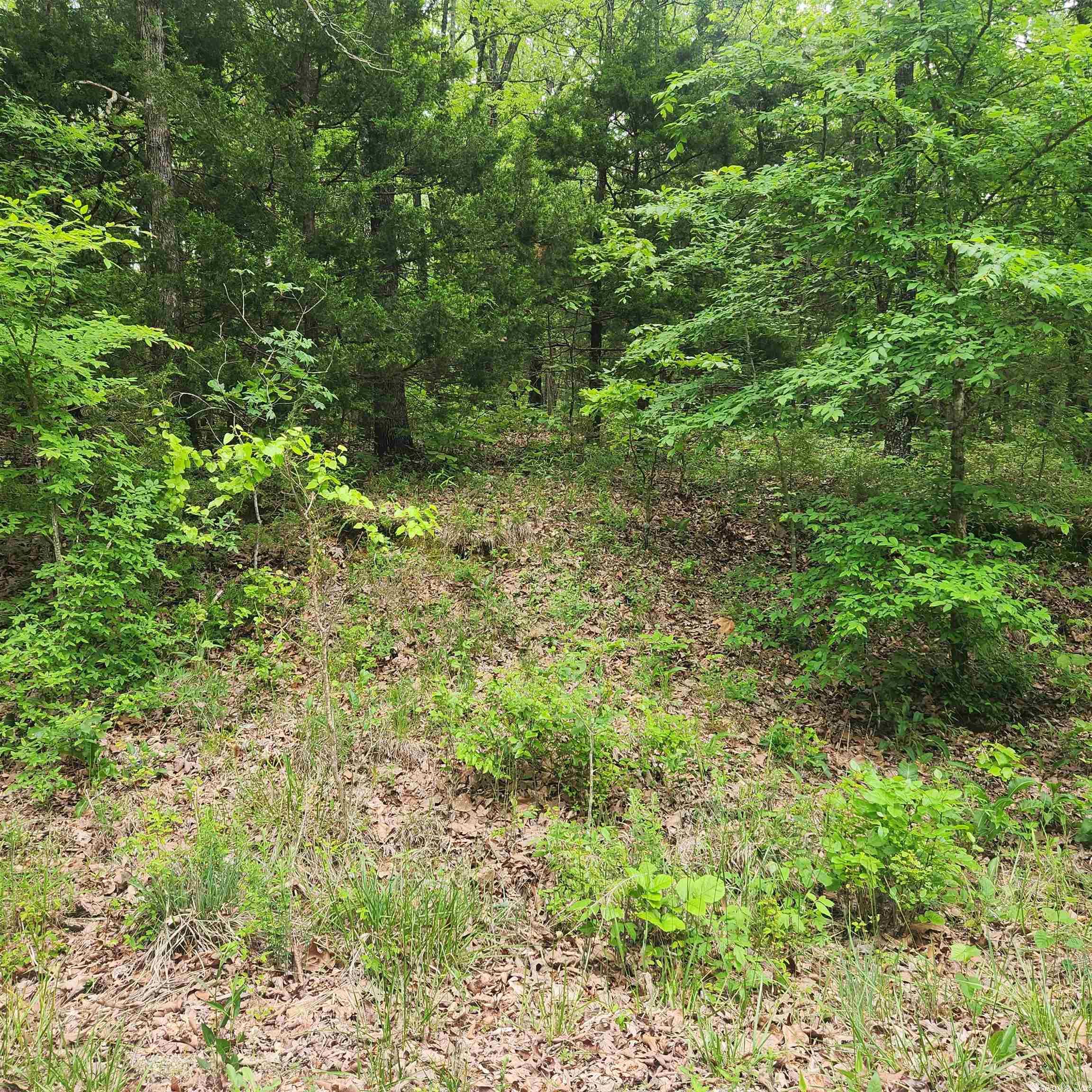 Choctaw Second - Land