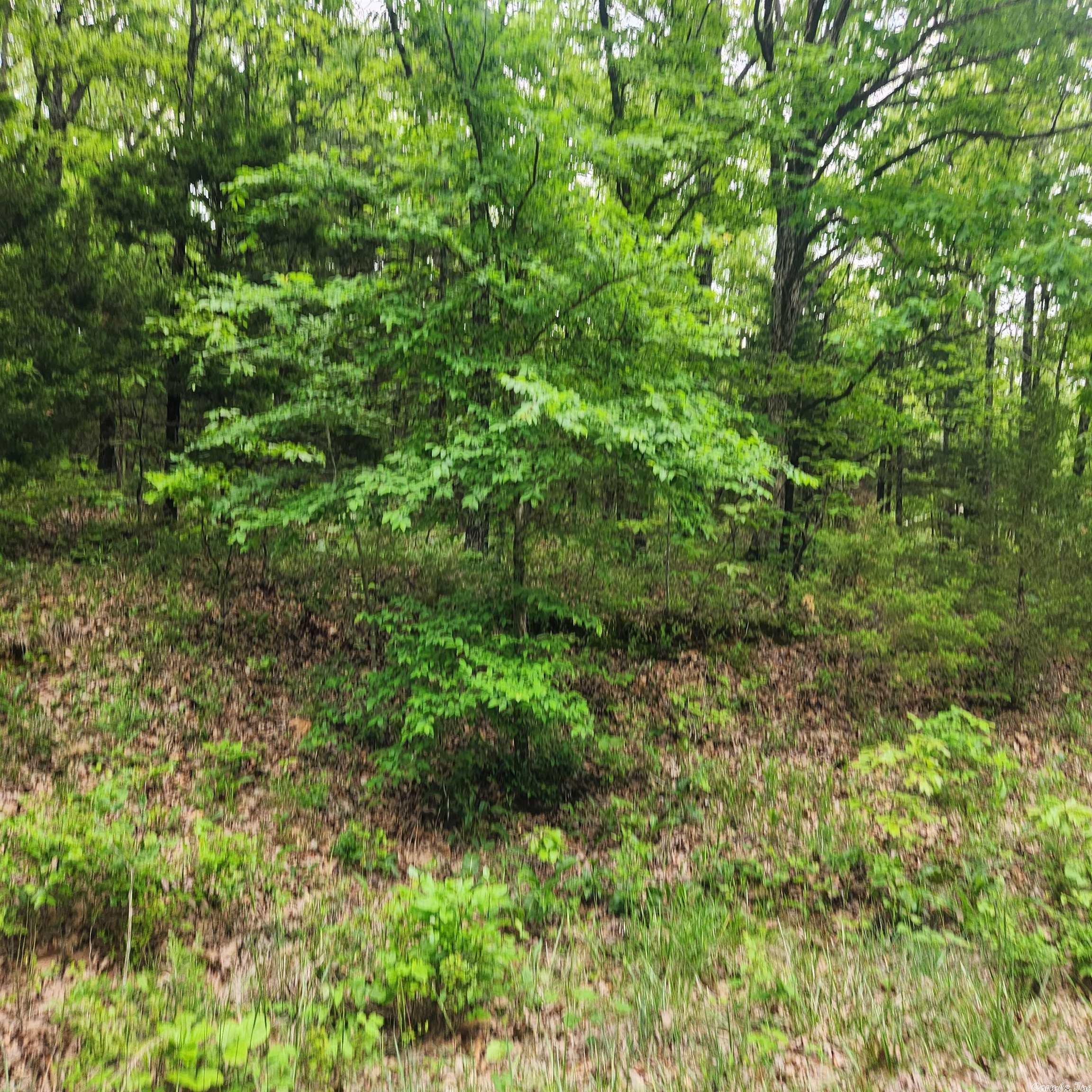 Choctaw Second - Land