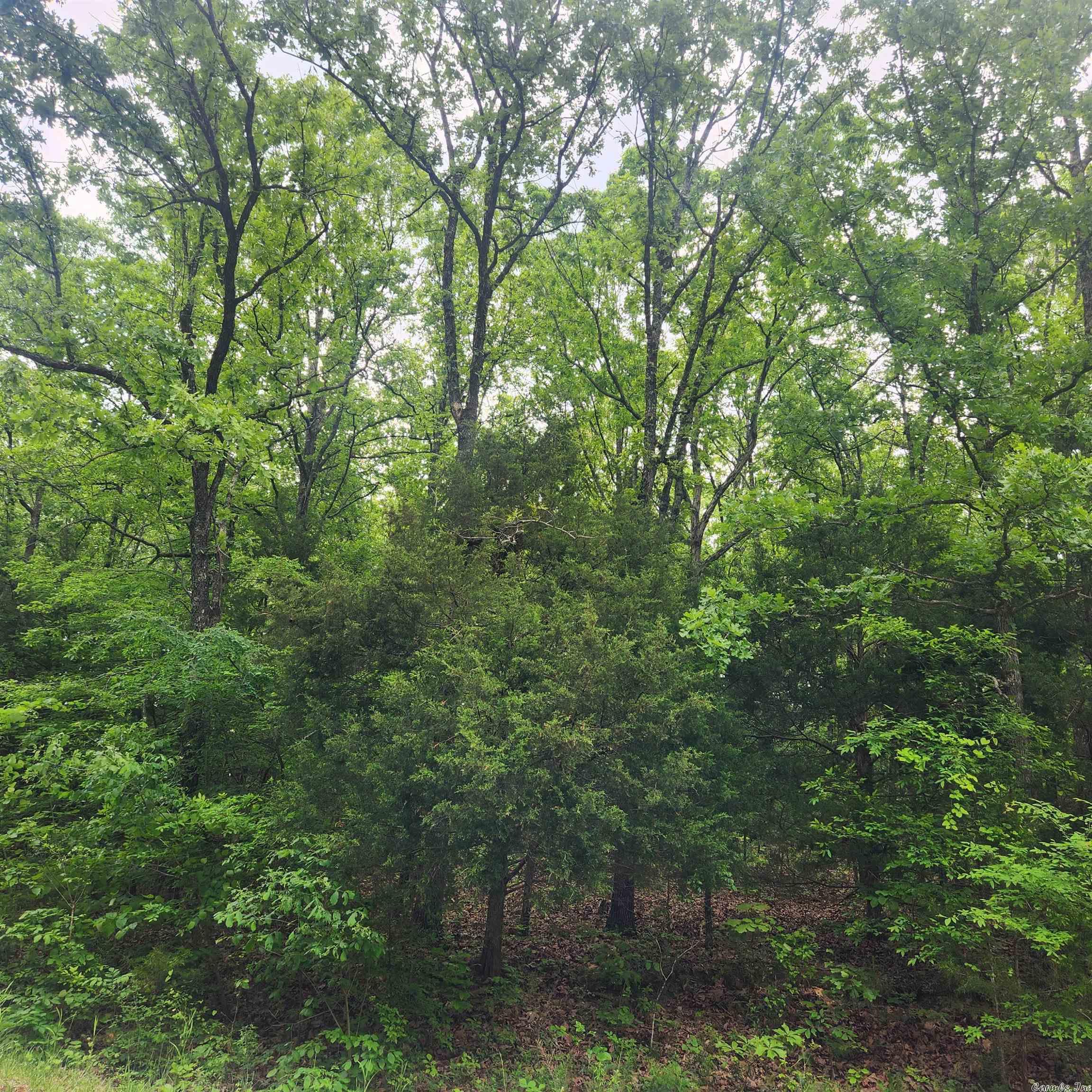 Choctaw Second - Land