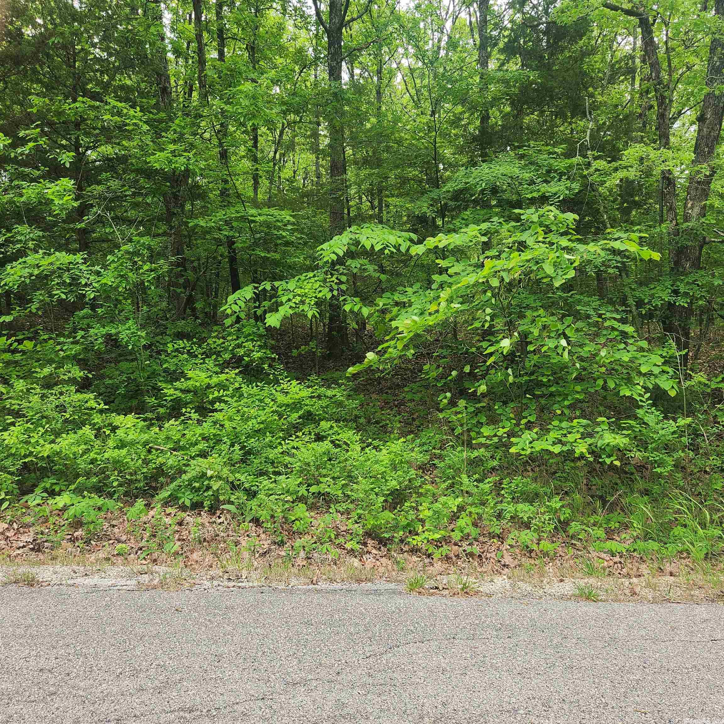 Choctaw Second - Land