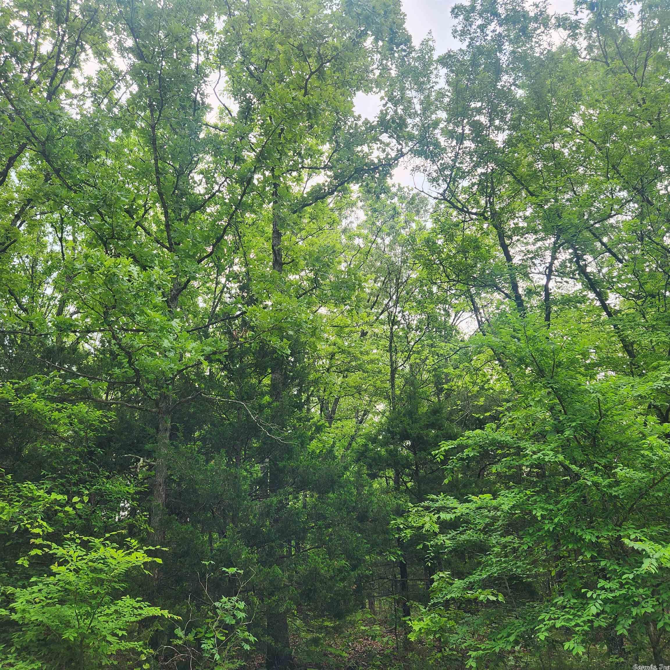 Choctaw Second - Land