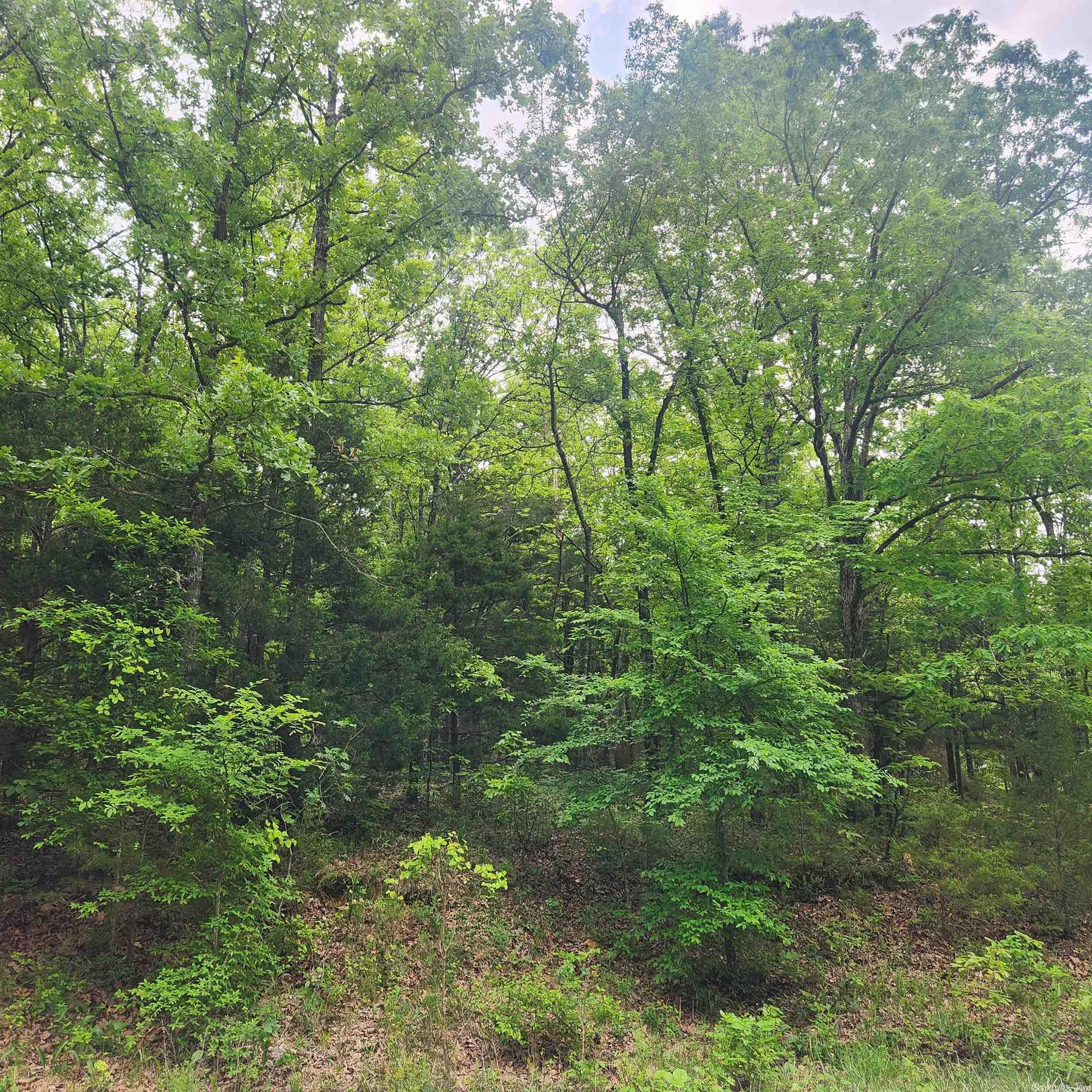 Choctaw Second - Land