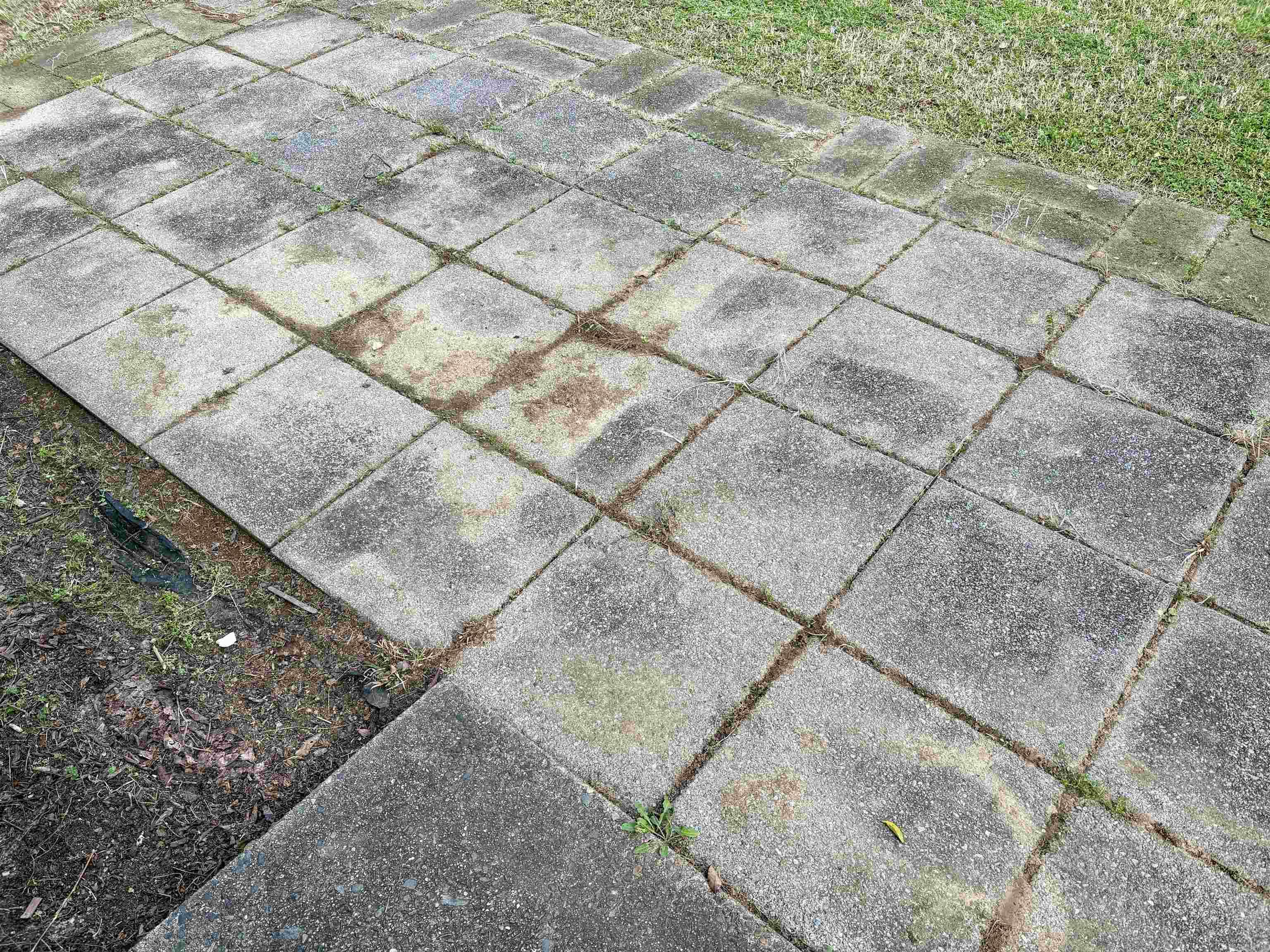 BEAVERS - Residential