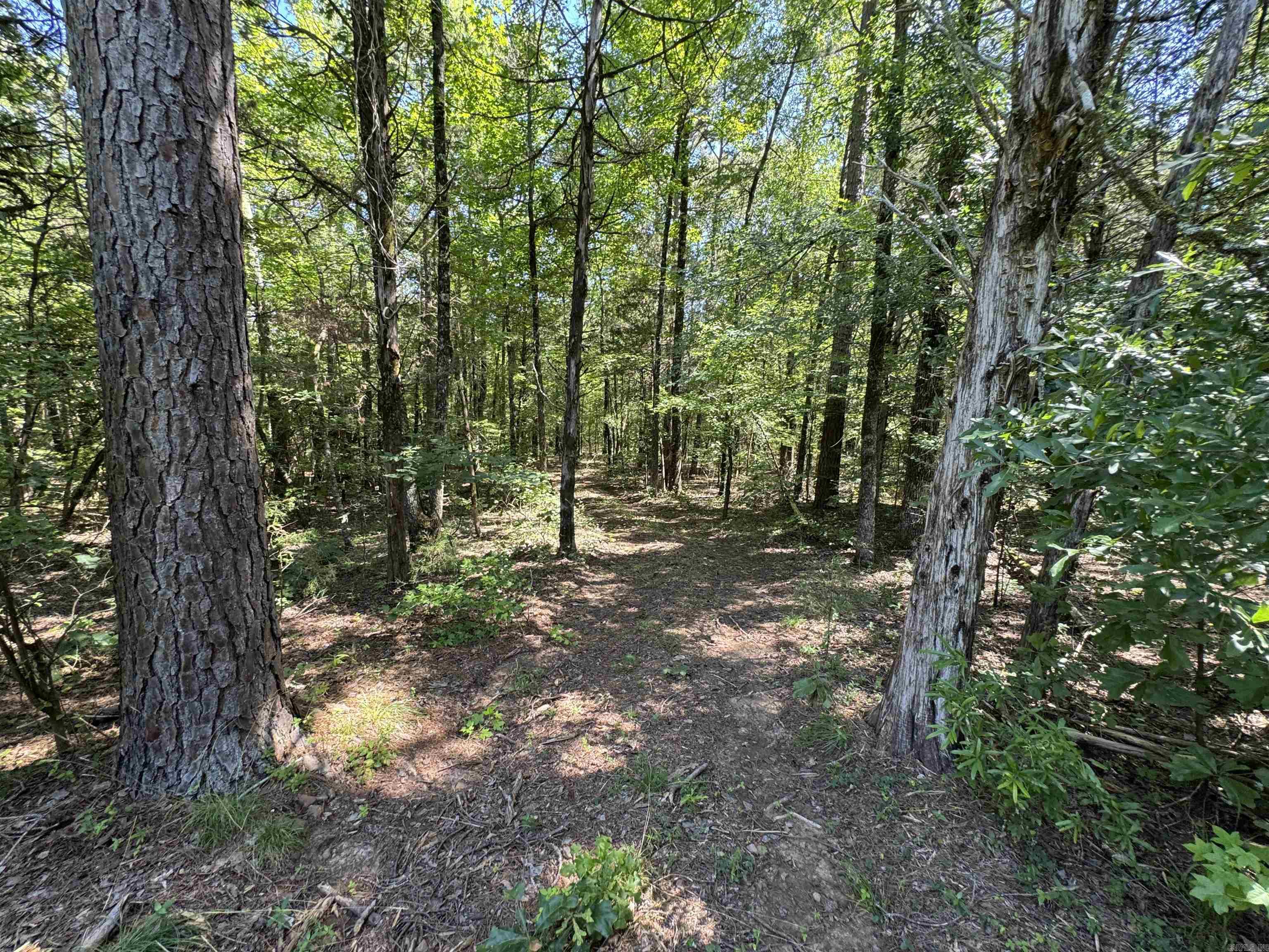 Cadron Creek - Land