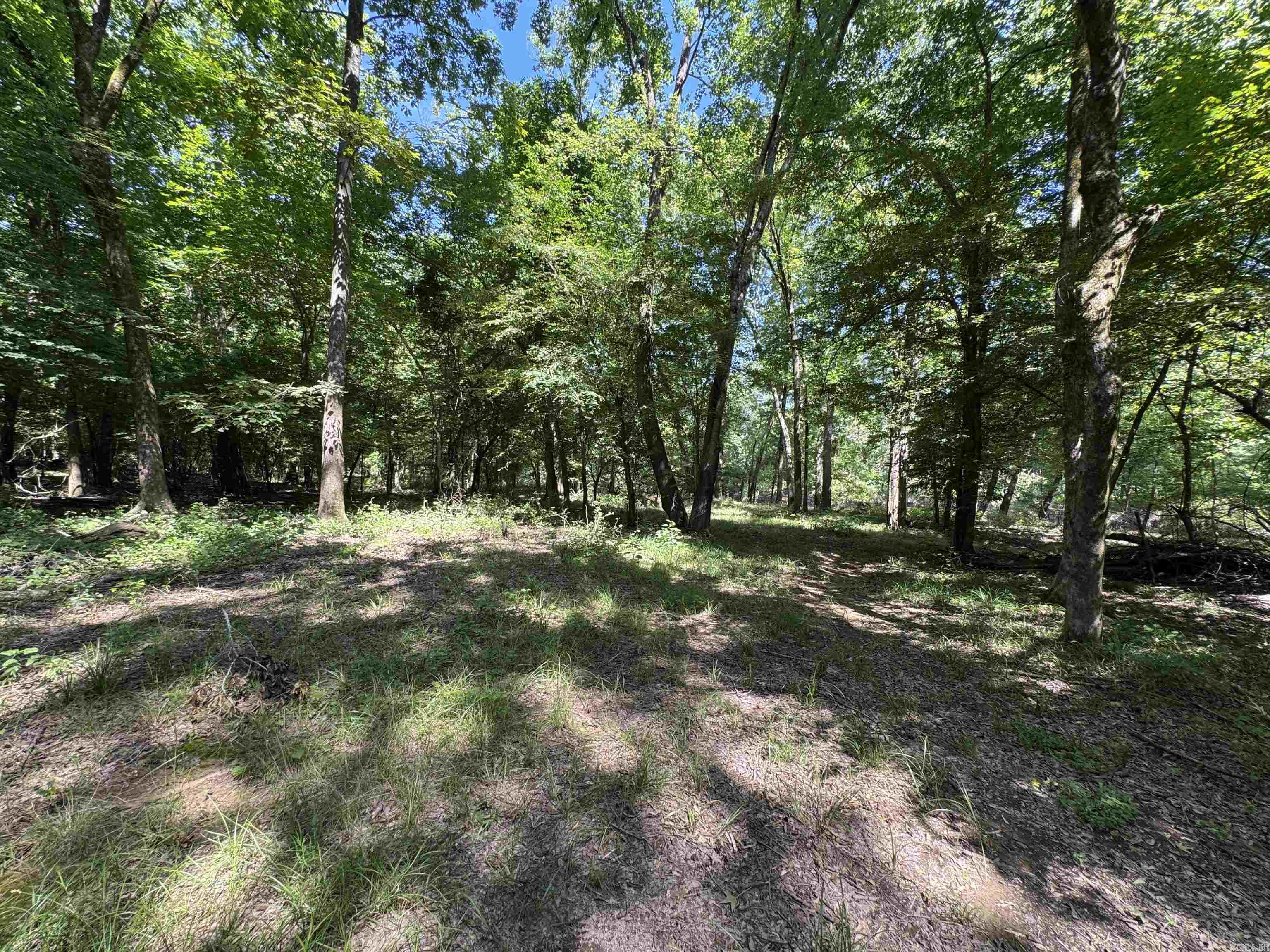 Cadron Creek - Land