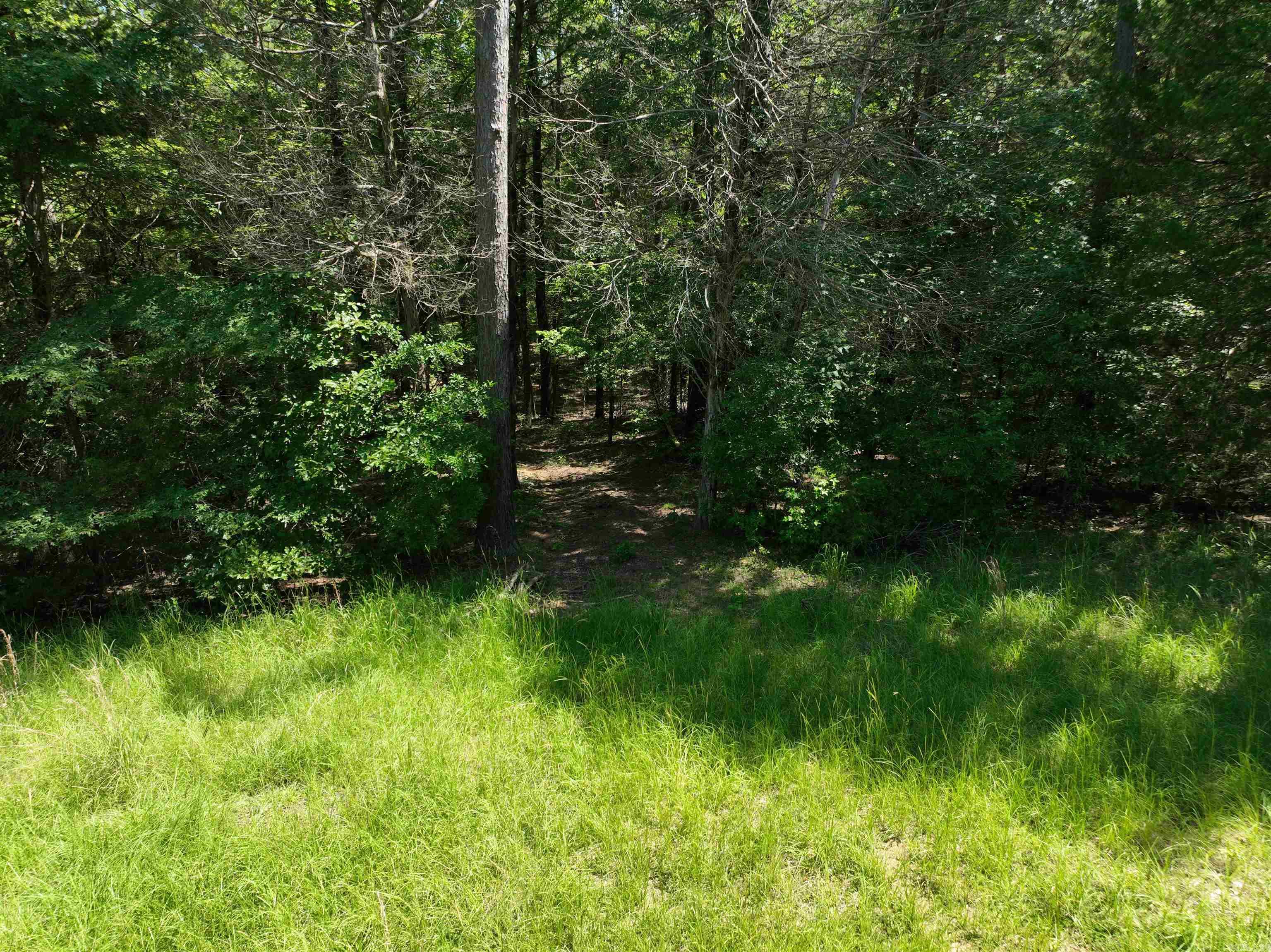 Cadron Creek - Land