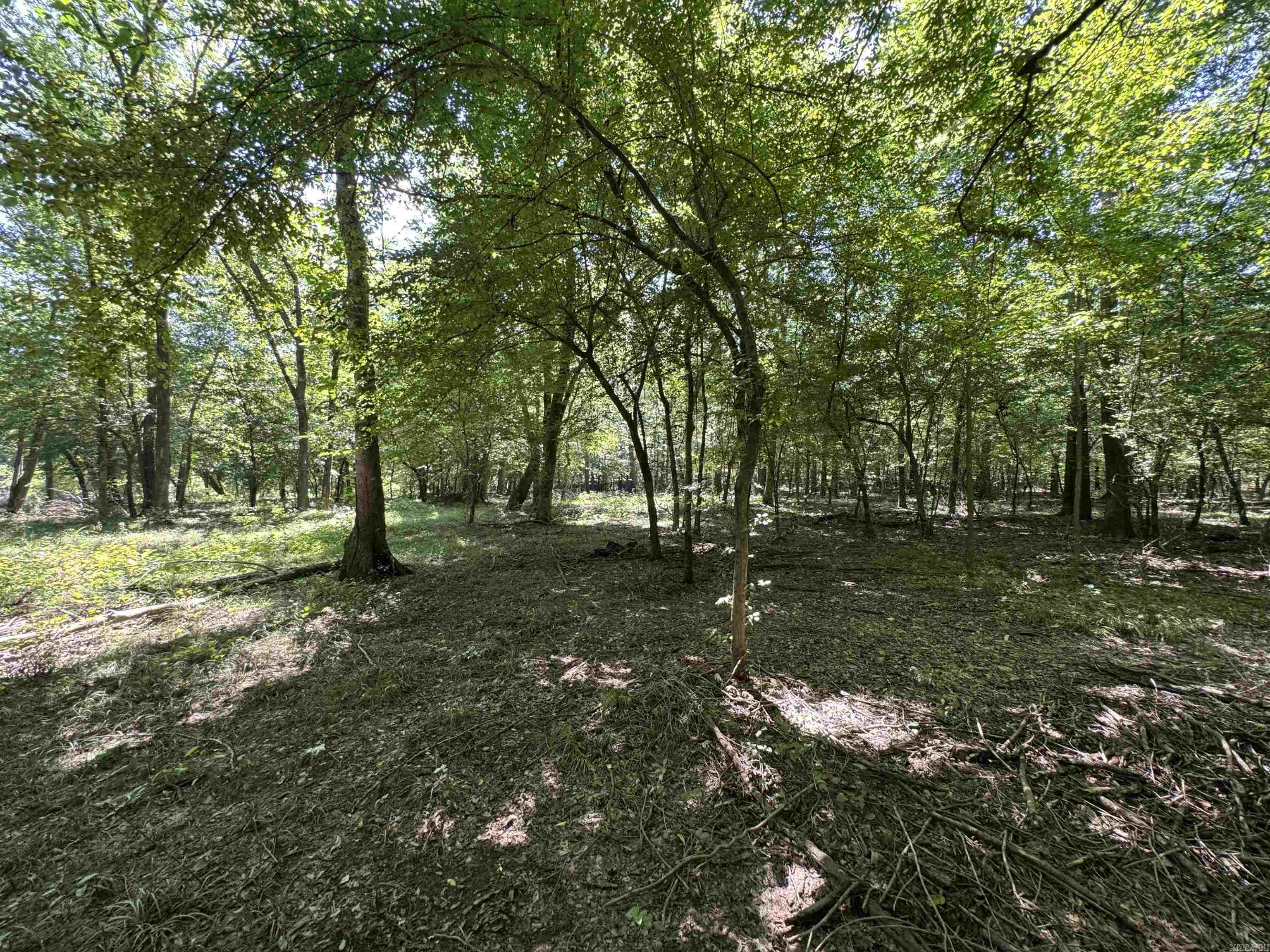 Cadron Creek - Land