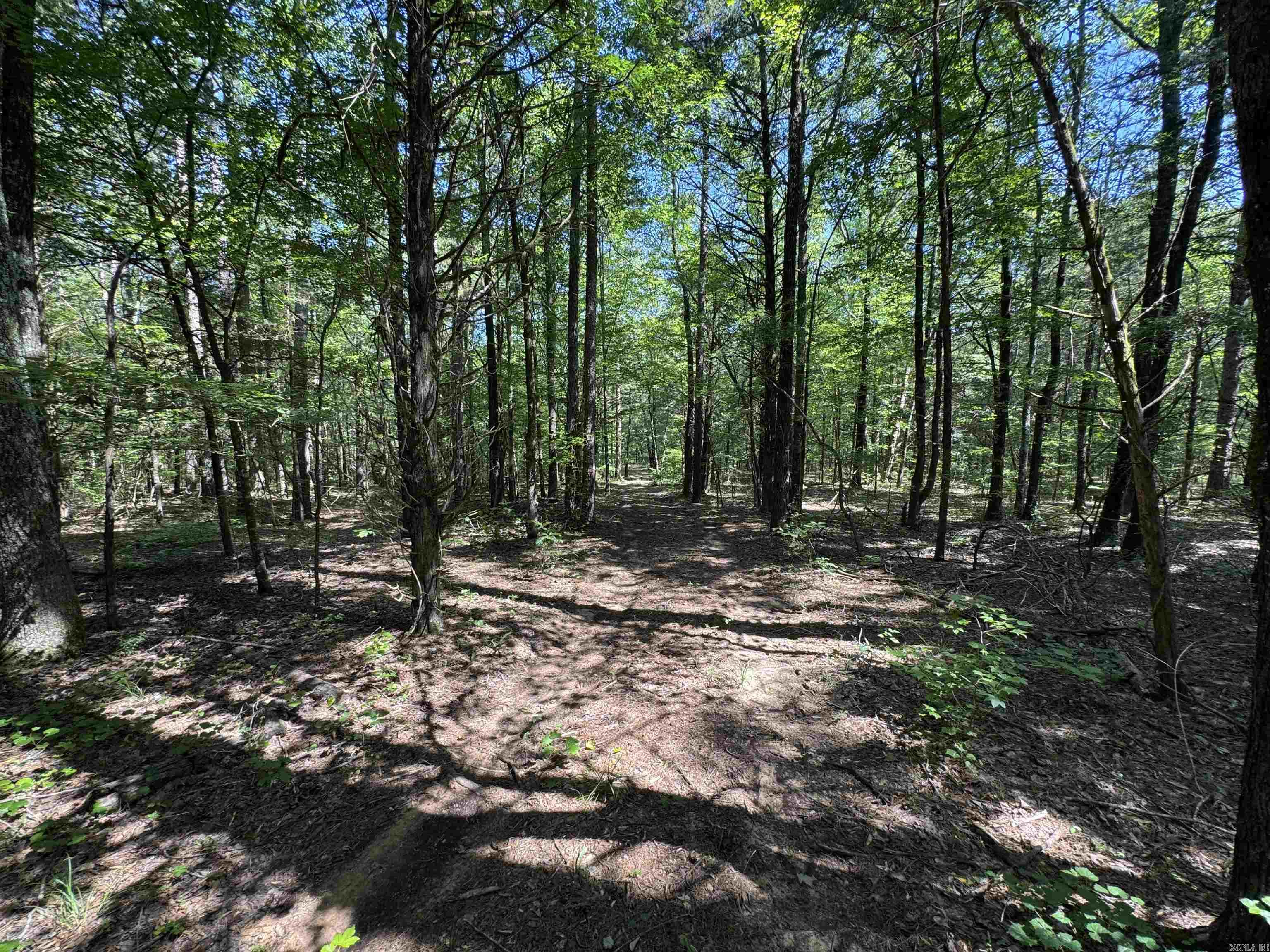 Cadron Creek - Land