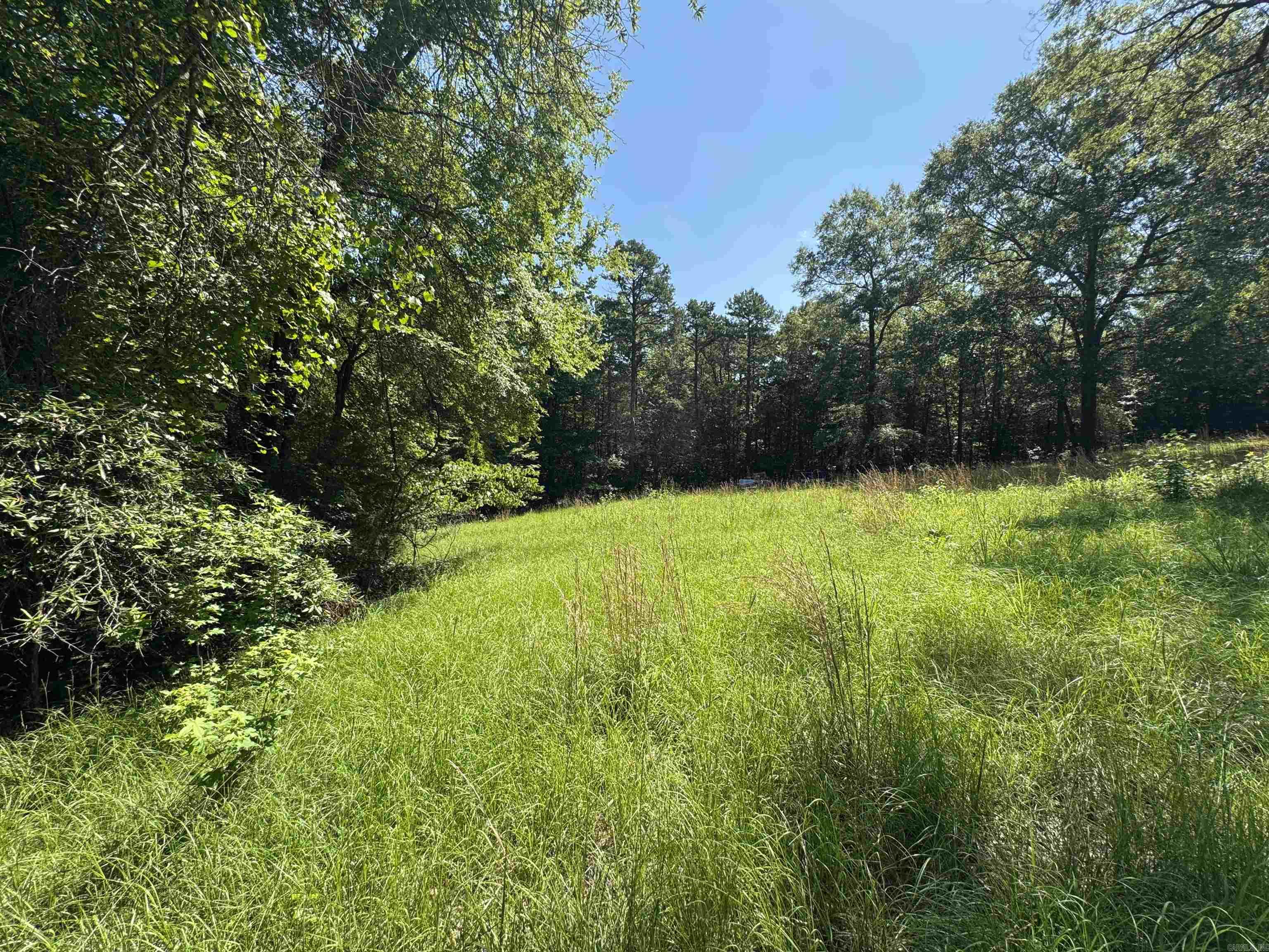 Cadron Creek - Land