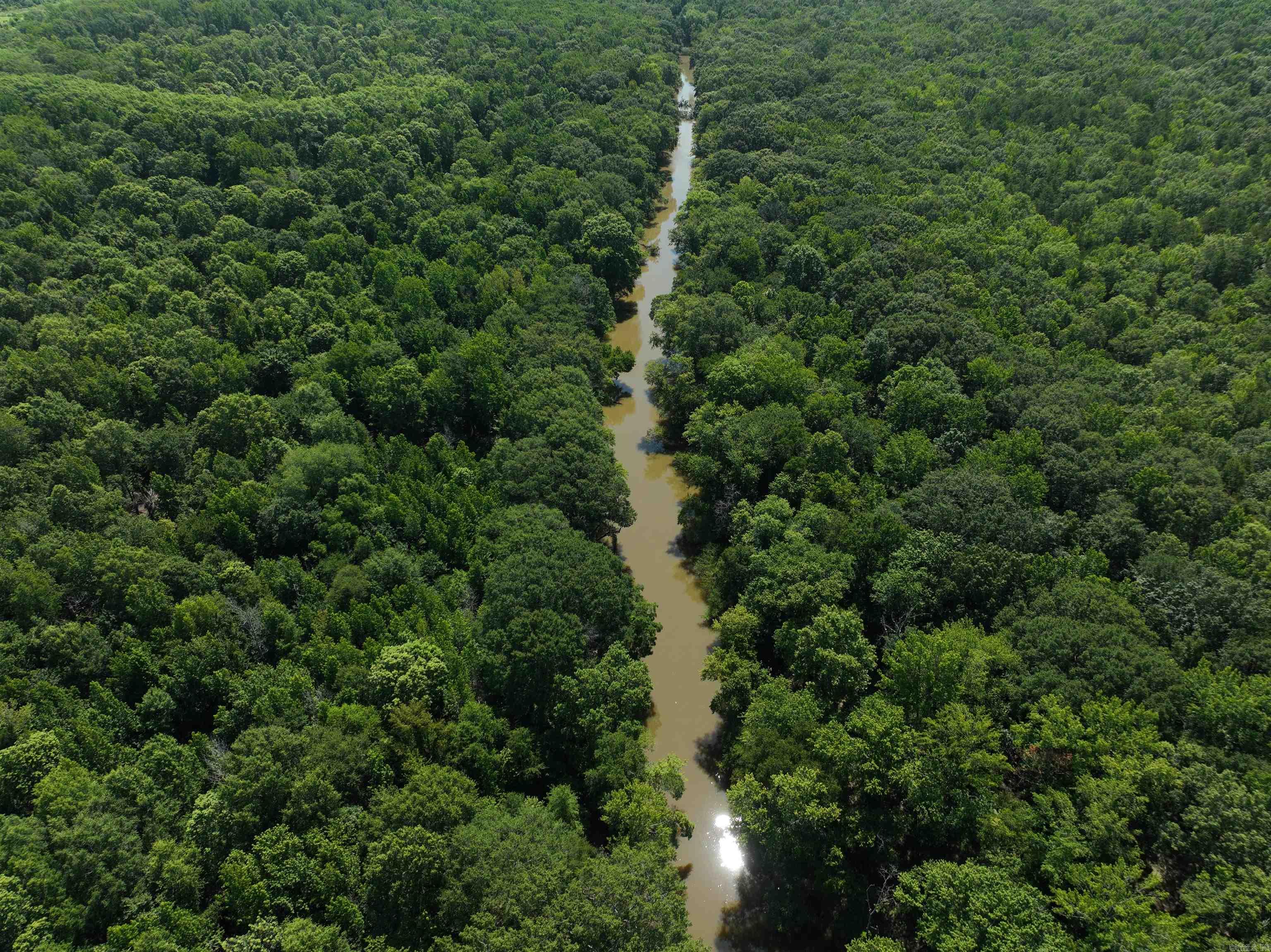 Discover your own slice of natural Arkansas beauty with this 11.24-acre wooded tract nestled along the scenic East Cadron Creek. Boasting approximately 540 feet of creek frontage, this rare piece of raw vacant land offers endless opportunities for outdoor enthusiasts — whether you're looking to hunt, fish, or simply escape into nature. Tucked away in a quiet, rural setting, the property features a gentle slope leading down to the water, making it ideal for potential building sites with elevated views and easy creek access. Wildlife is abundant, offering excellent hunting potential and a true sense of seclusion and tranquility. Despite its peaceful location, you’re just 20 minutes from downtown Conway, giving you the perfect blend of rural living with convenient access to shopping, dining, and modern amenities. Whether you're looking to build, invest, or just escape the hustle, this is the ideal place to unwind and connect with nature.