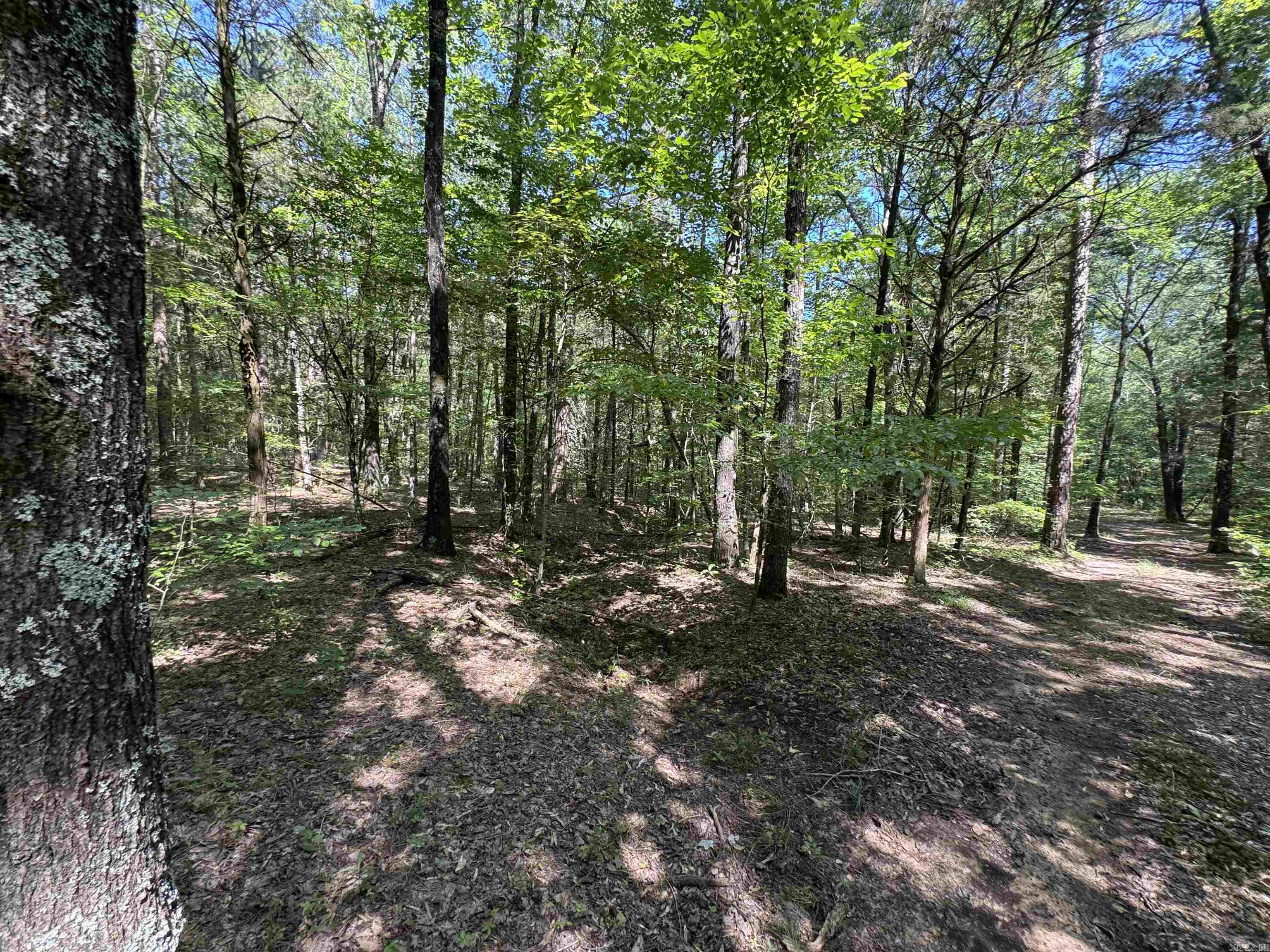 Cadron Creek - Land