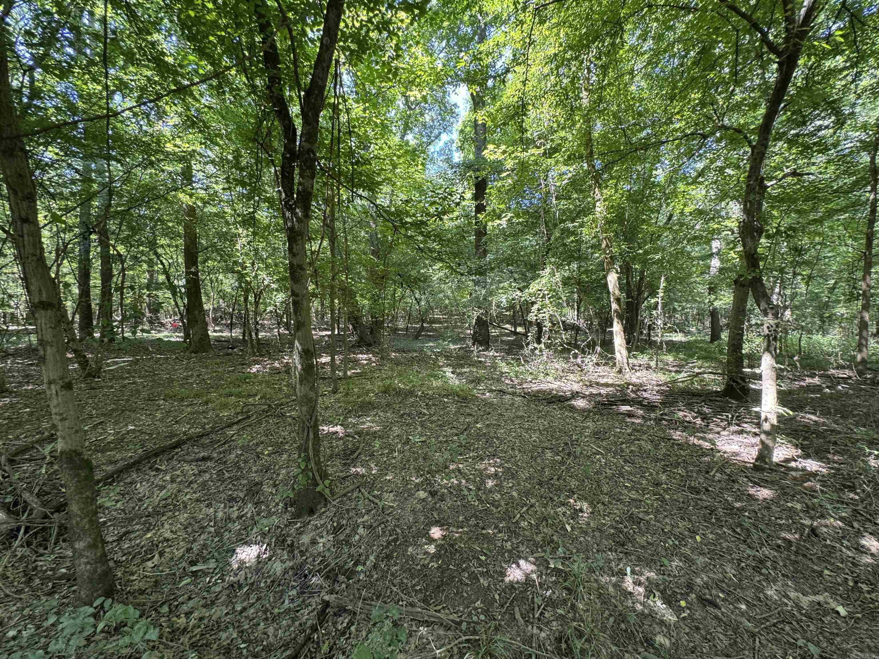 Cadron Creek - Land