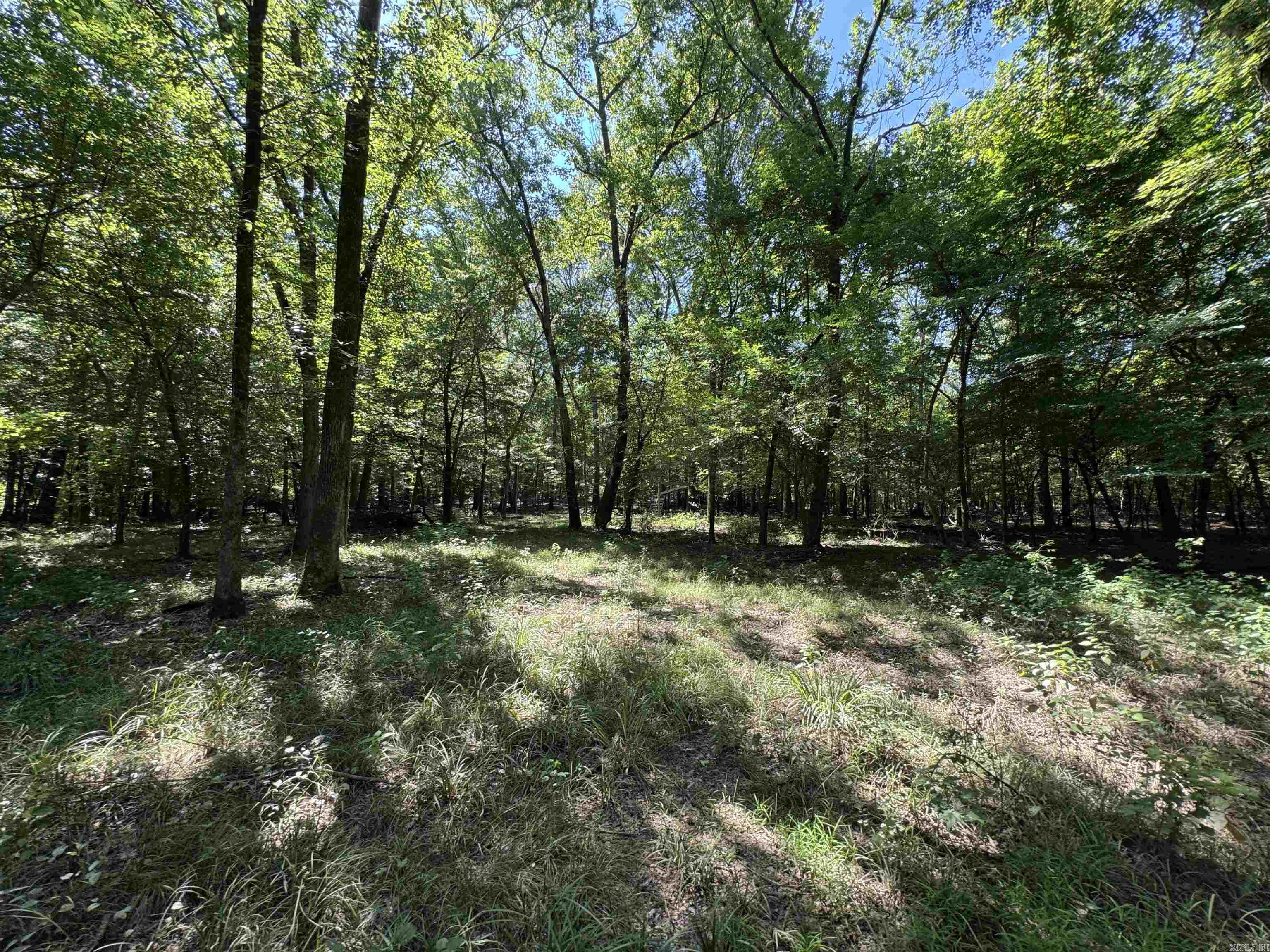 Cadron Creek - Land