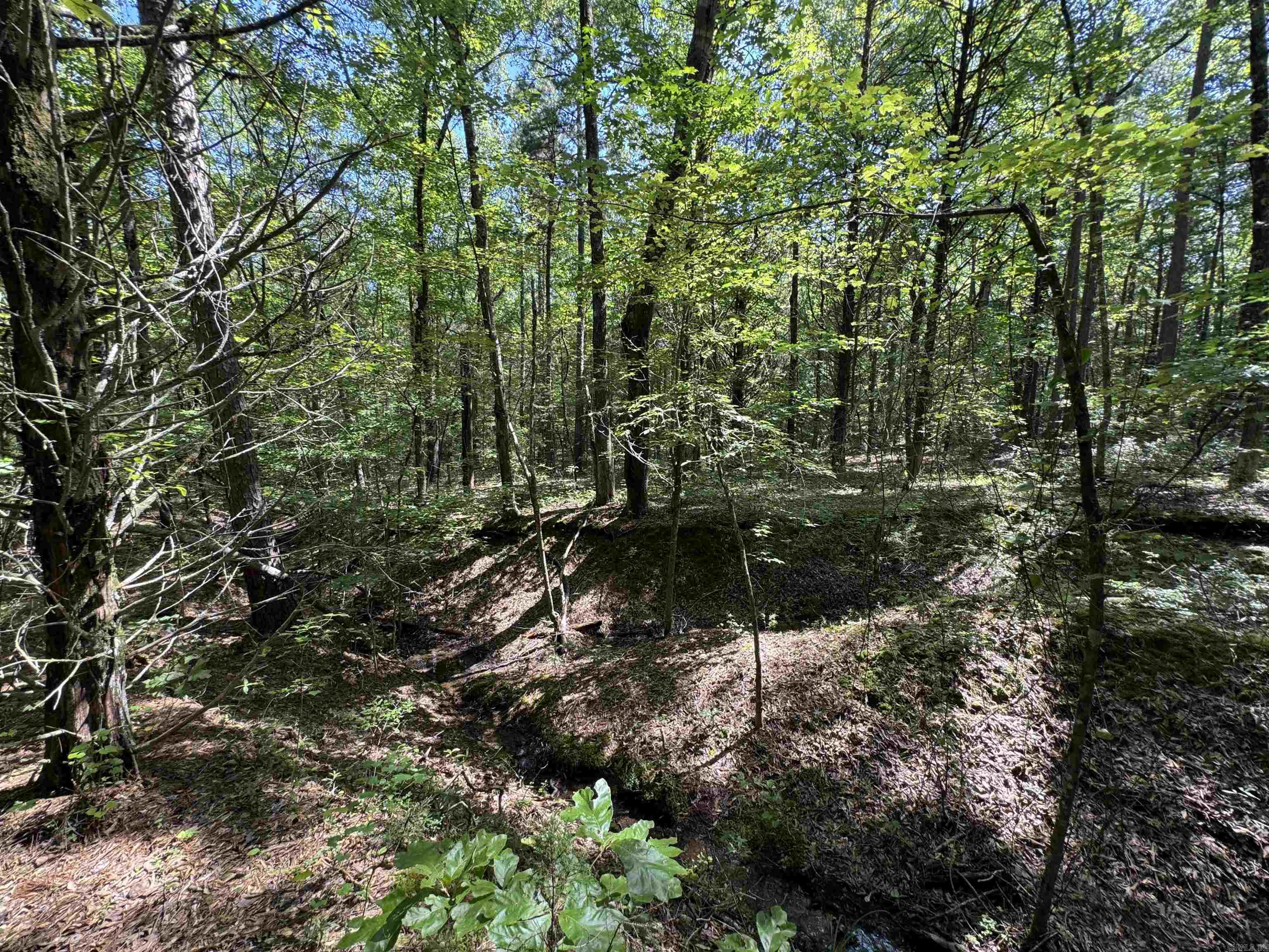 Cadron Creek - Land